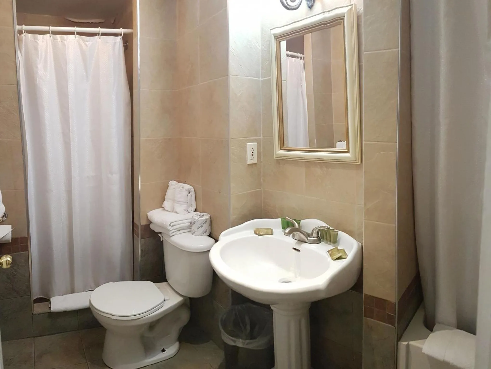 Toilet in Hotel de Paris Montreal