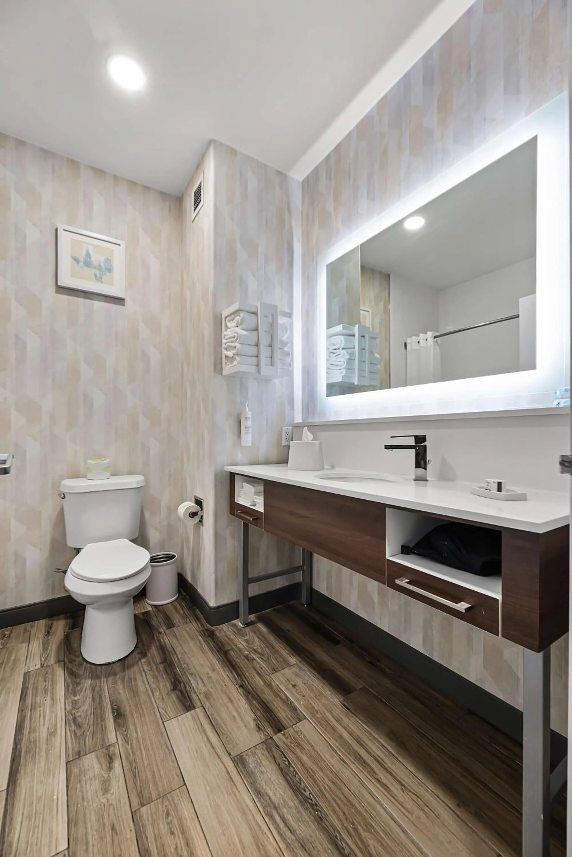 Bathroom in Hampton Inn Seguin