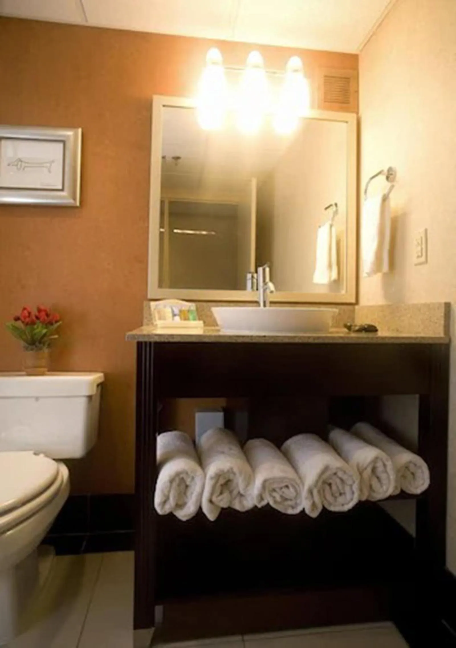 Bathroom in DoubleTree by Hilton Springfield