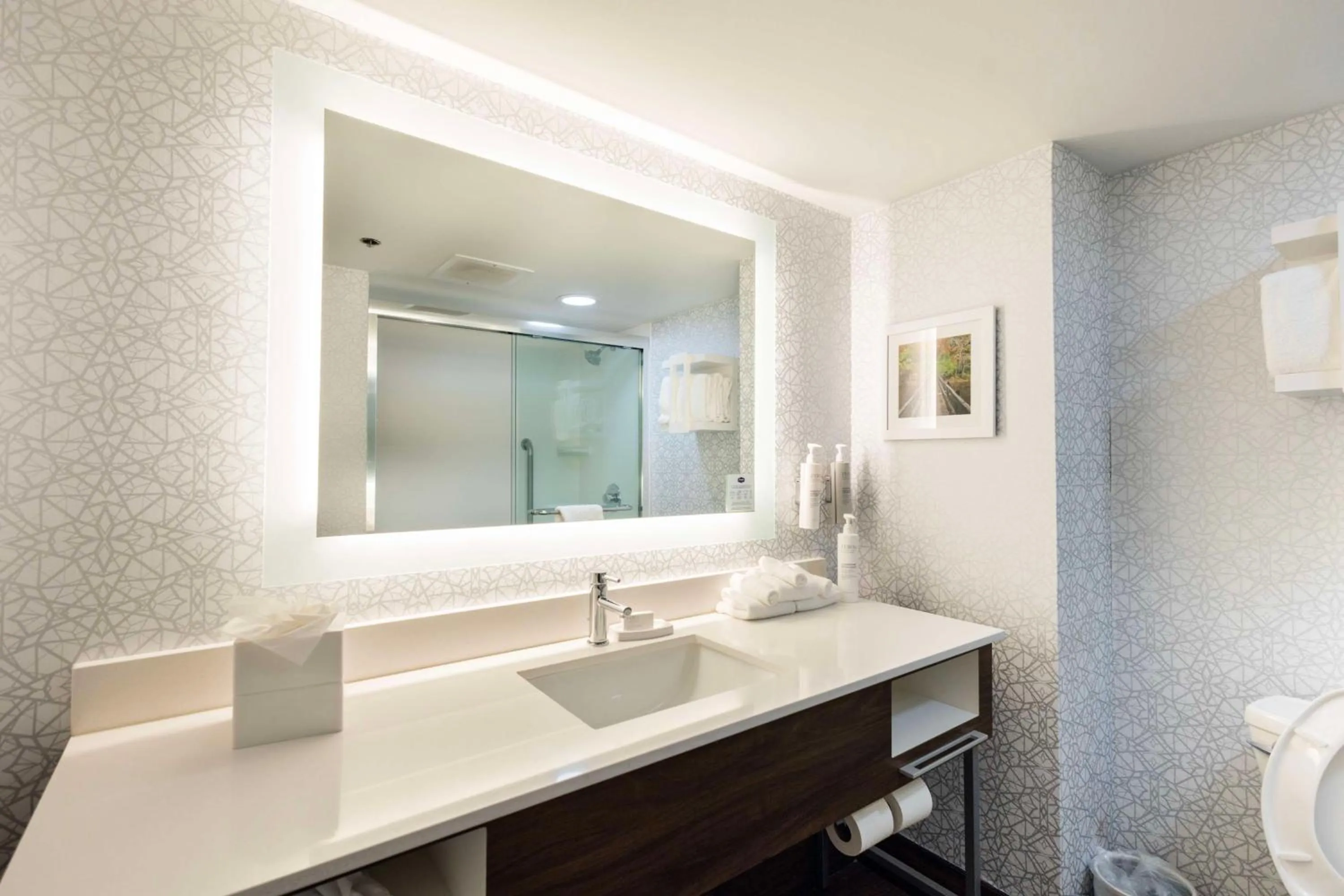 Photo of the whole room in Hampton Inn Springfield