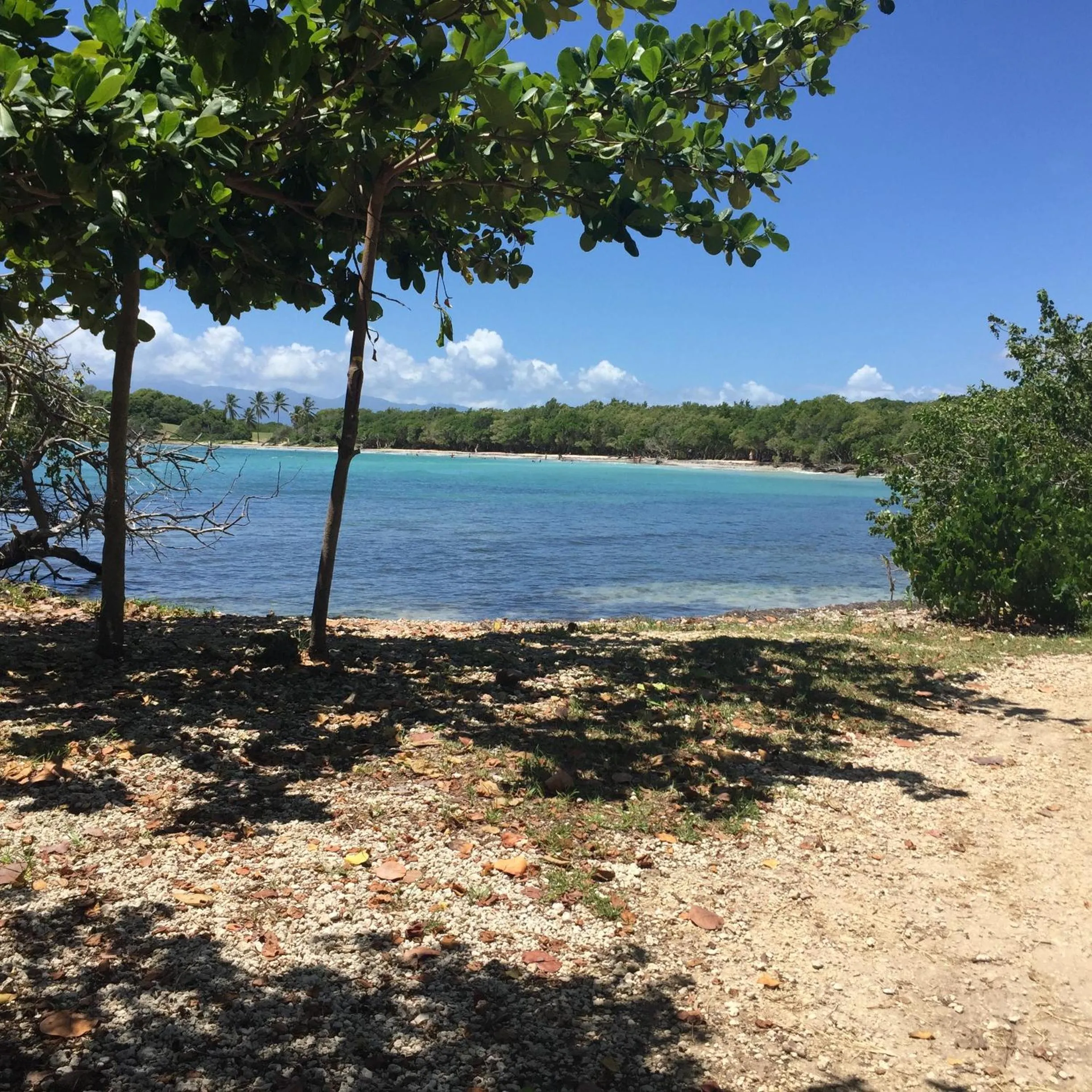 Beach in Sci Eden