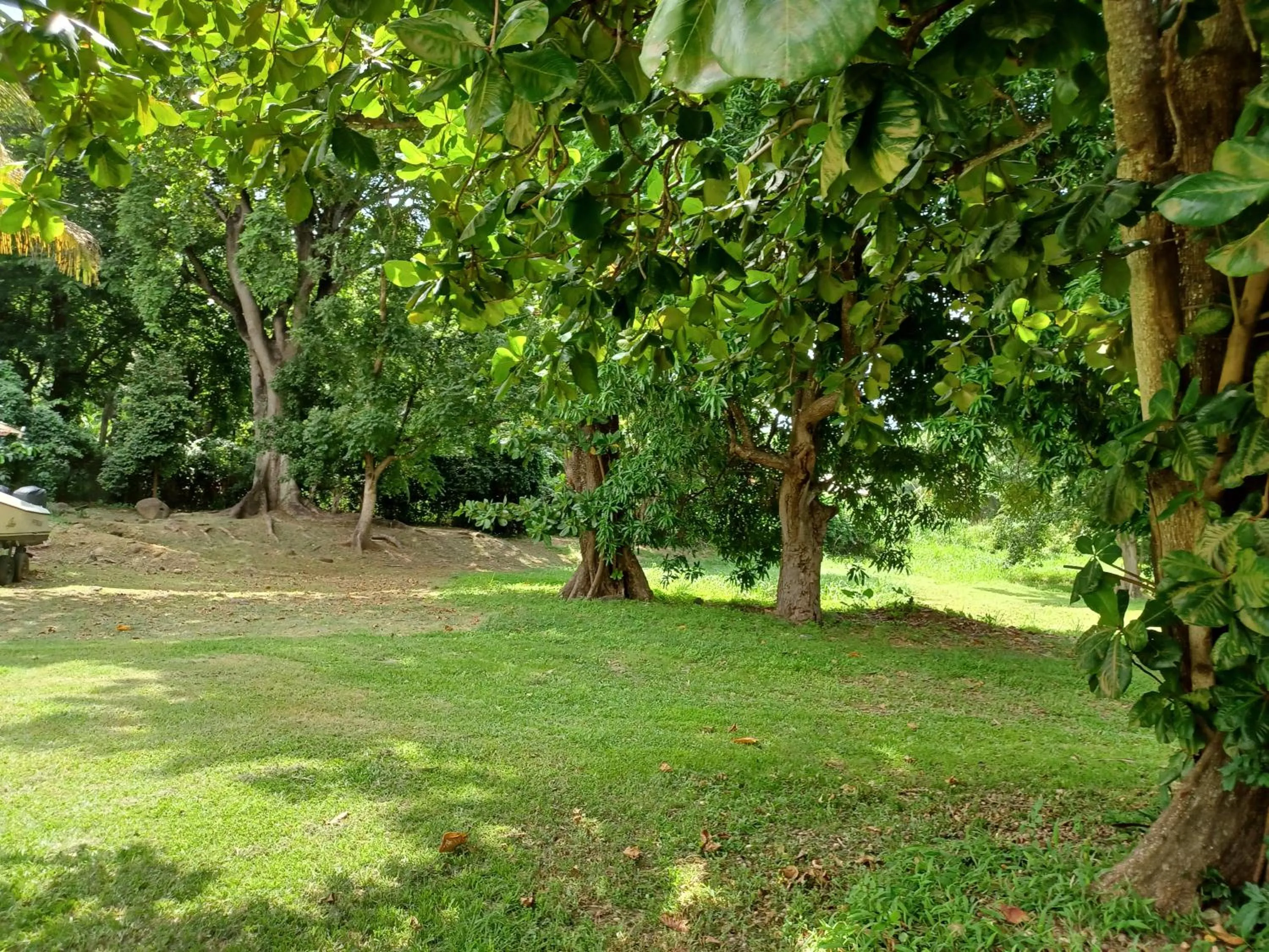 Garden in Bungalow PAPAYE