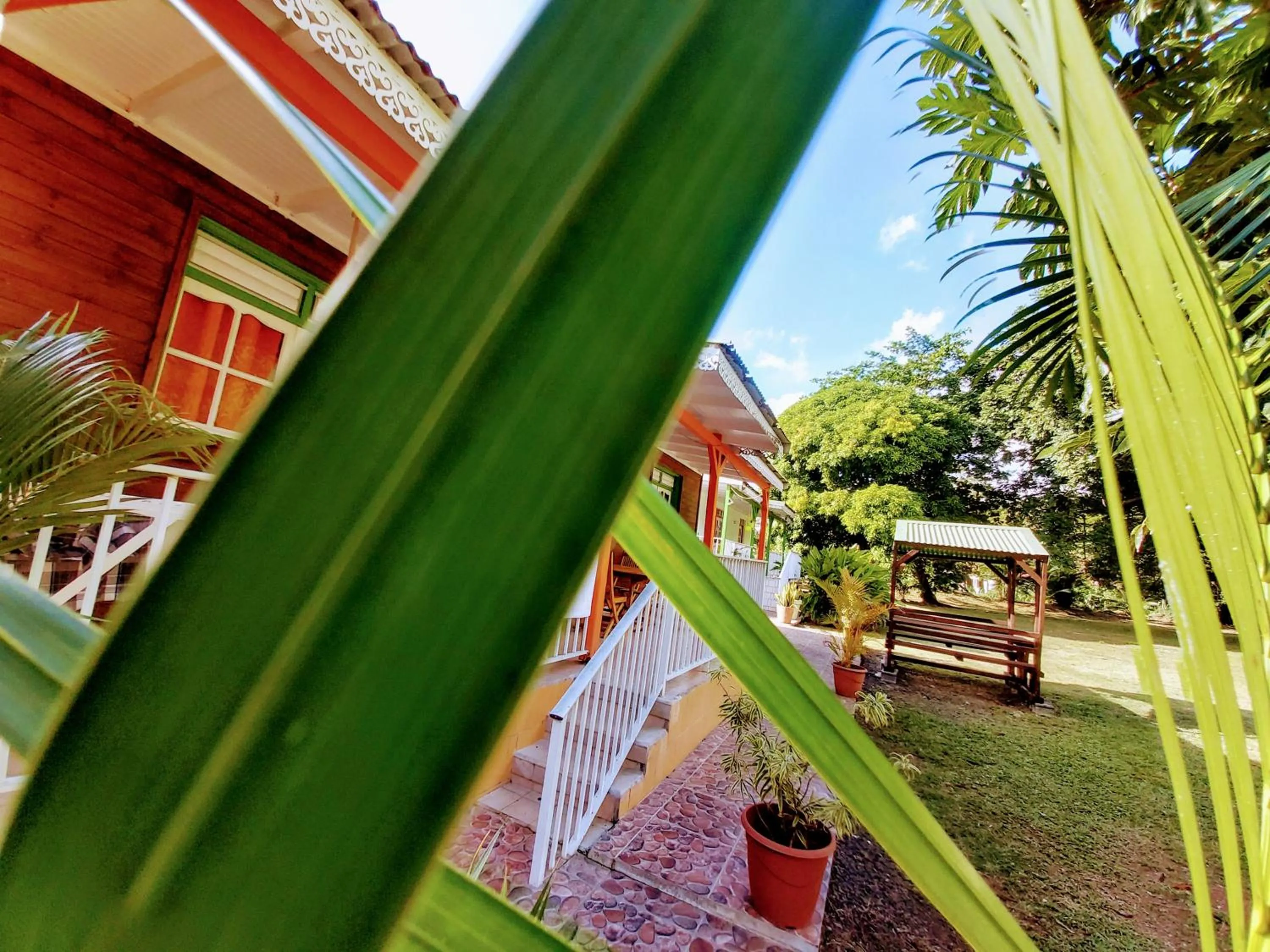 Garden in Bungalow PAPAYE