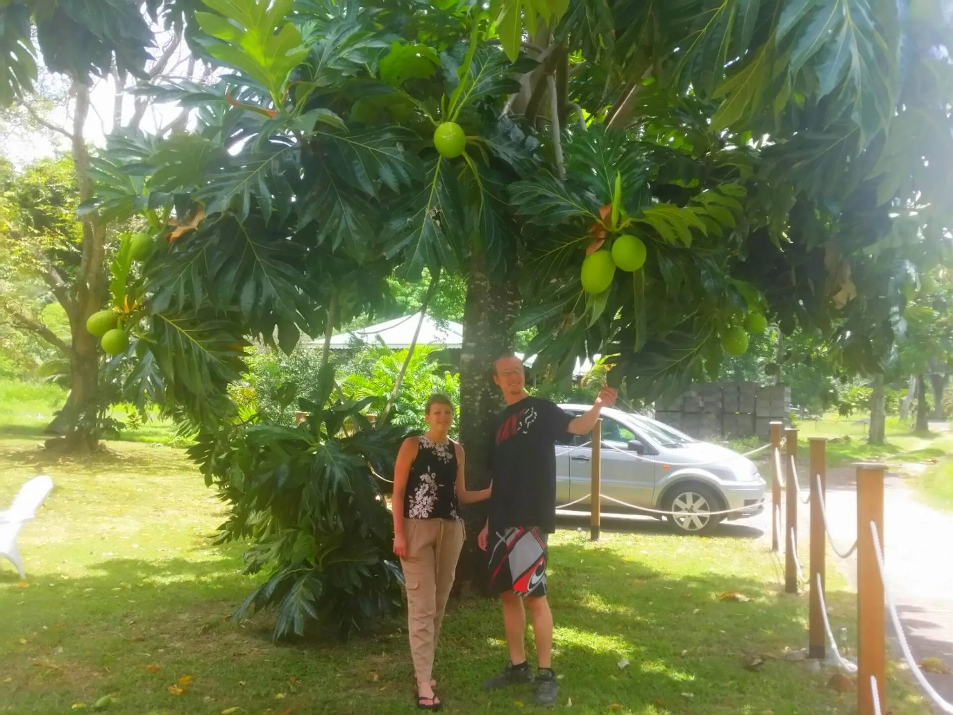 Natural landscape in Bungalow PAPAYE