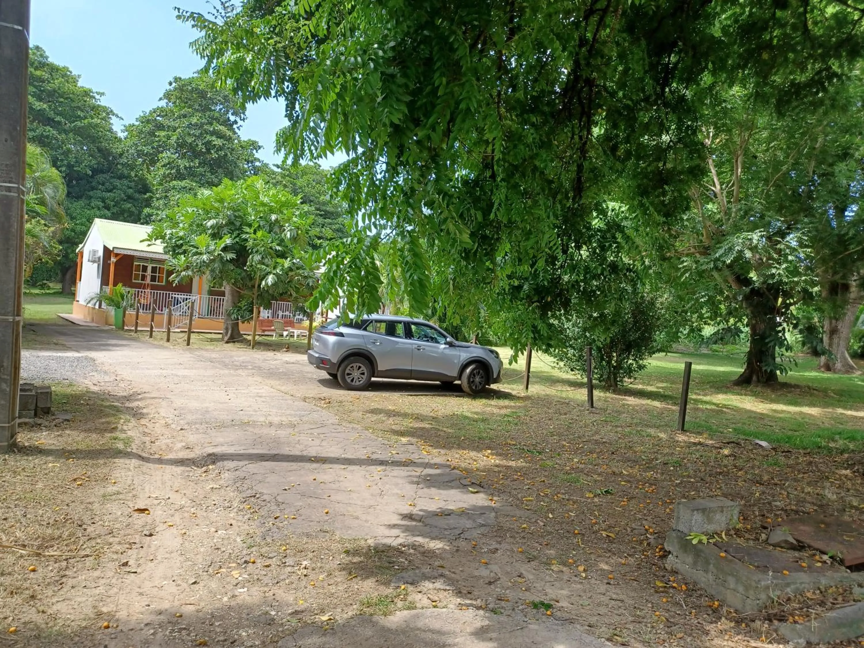Garden in Bungalow PAPAYE