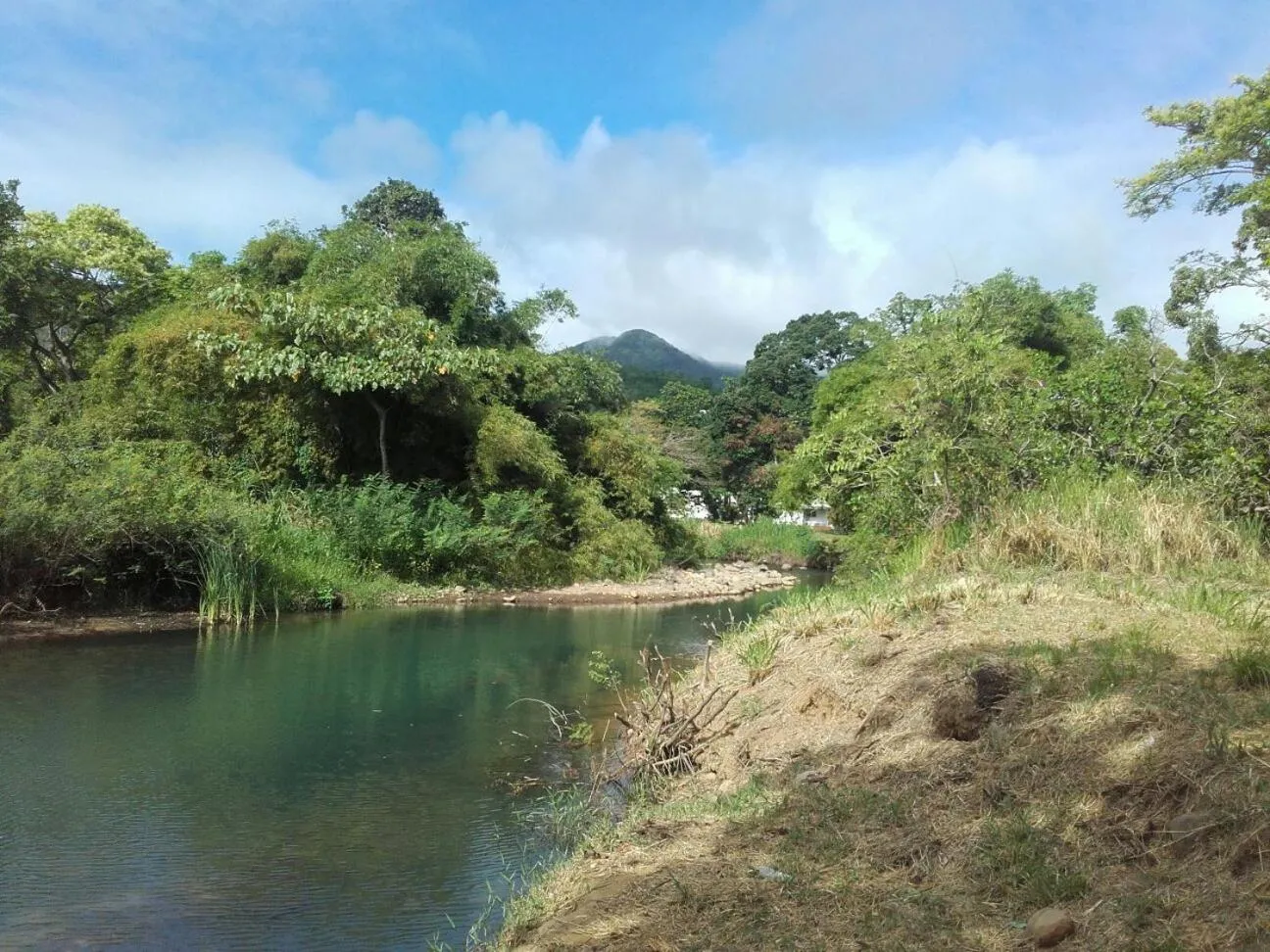 Natural landscape in Bungalow PAPAYE