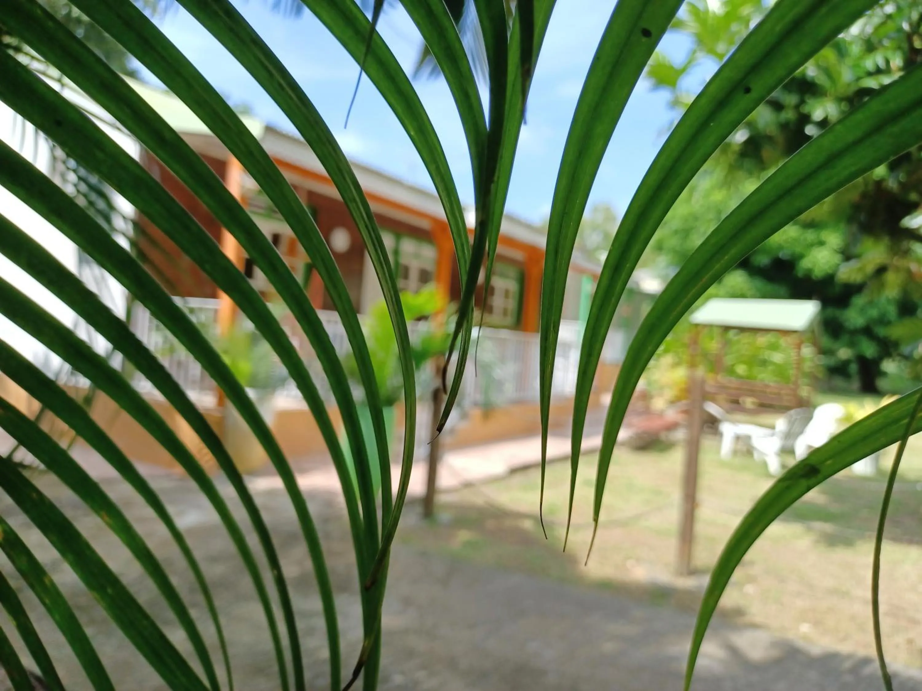 Property building in Bungalow PAPAYE