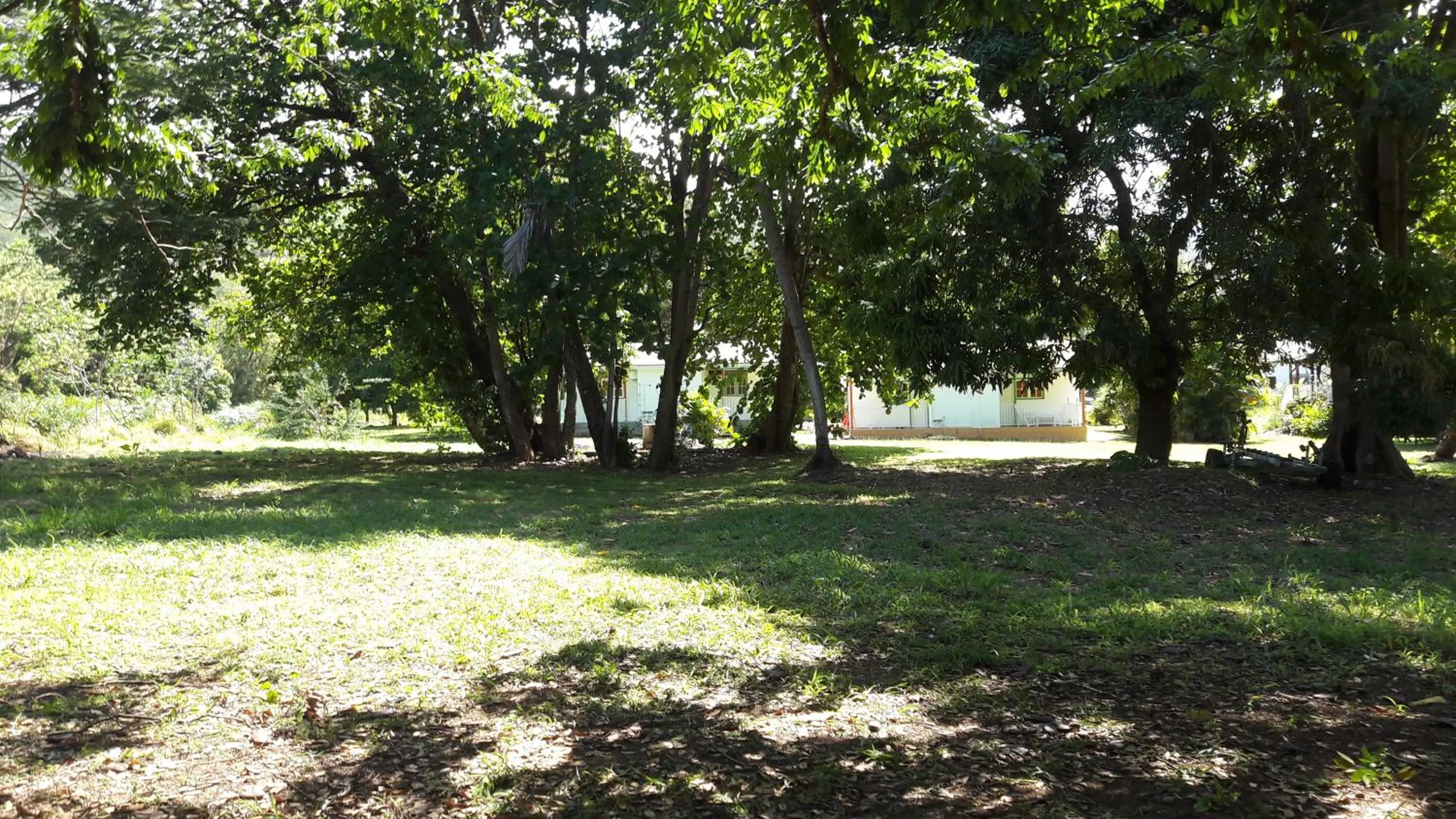Garden view in Bungalow PAPAYE