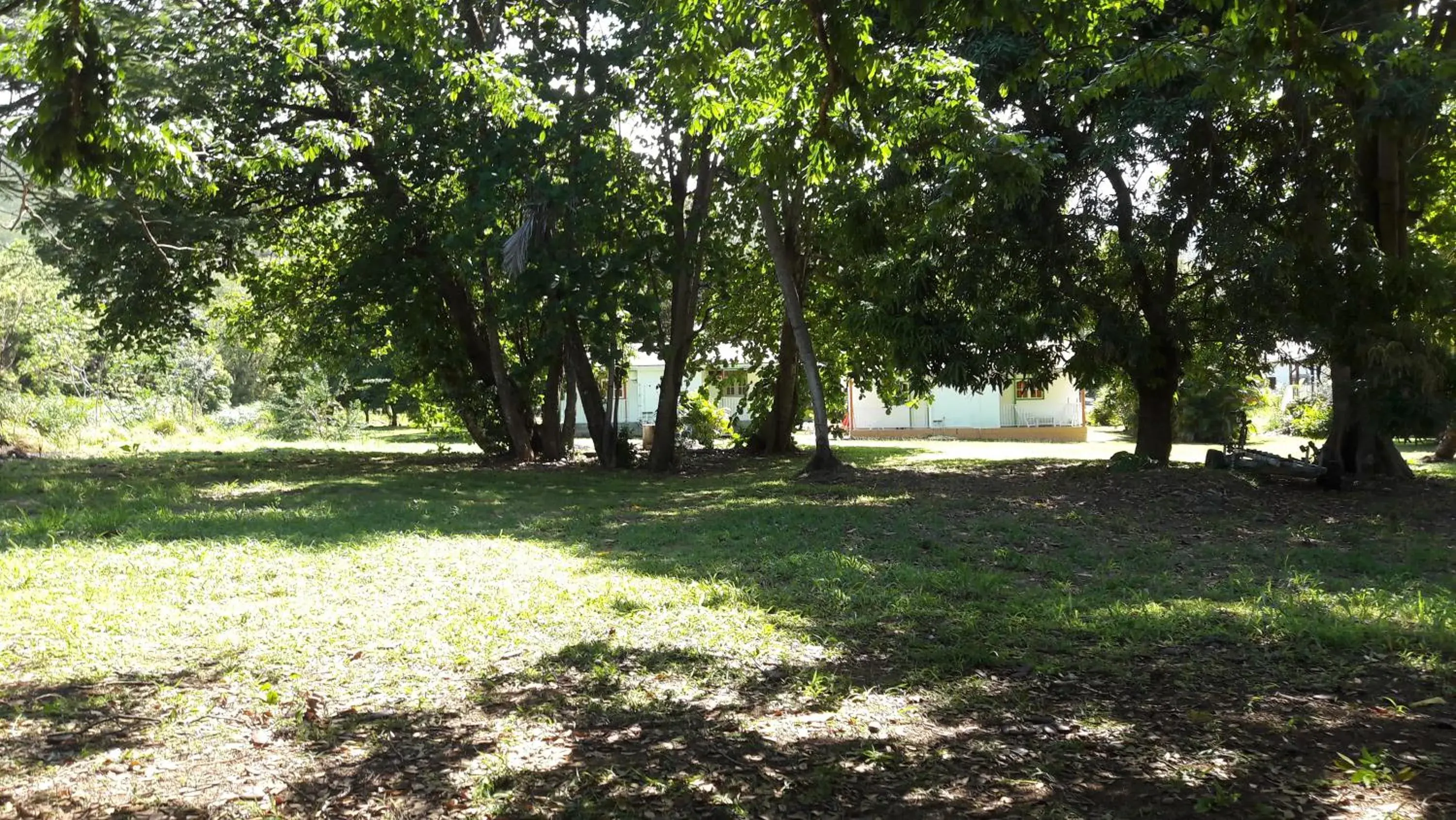 Bungalow PAPAYE Bungalow PAPAYE