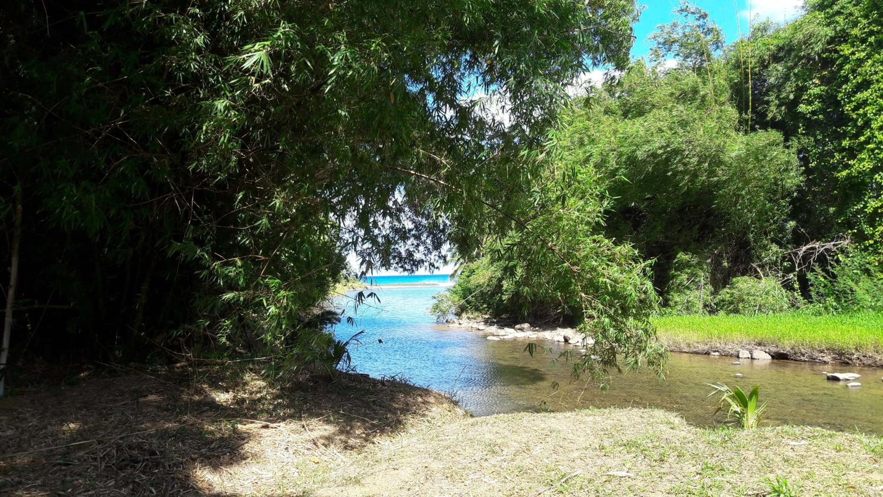 Natural landscape in Bungalow PAPAYE