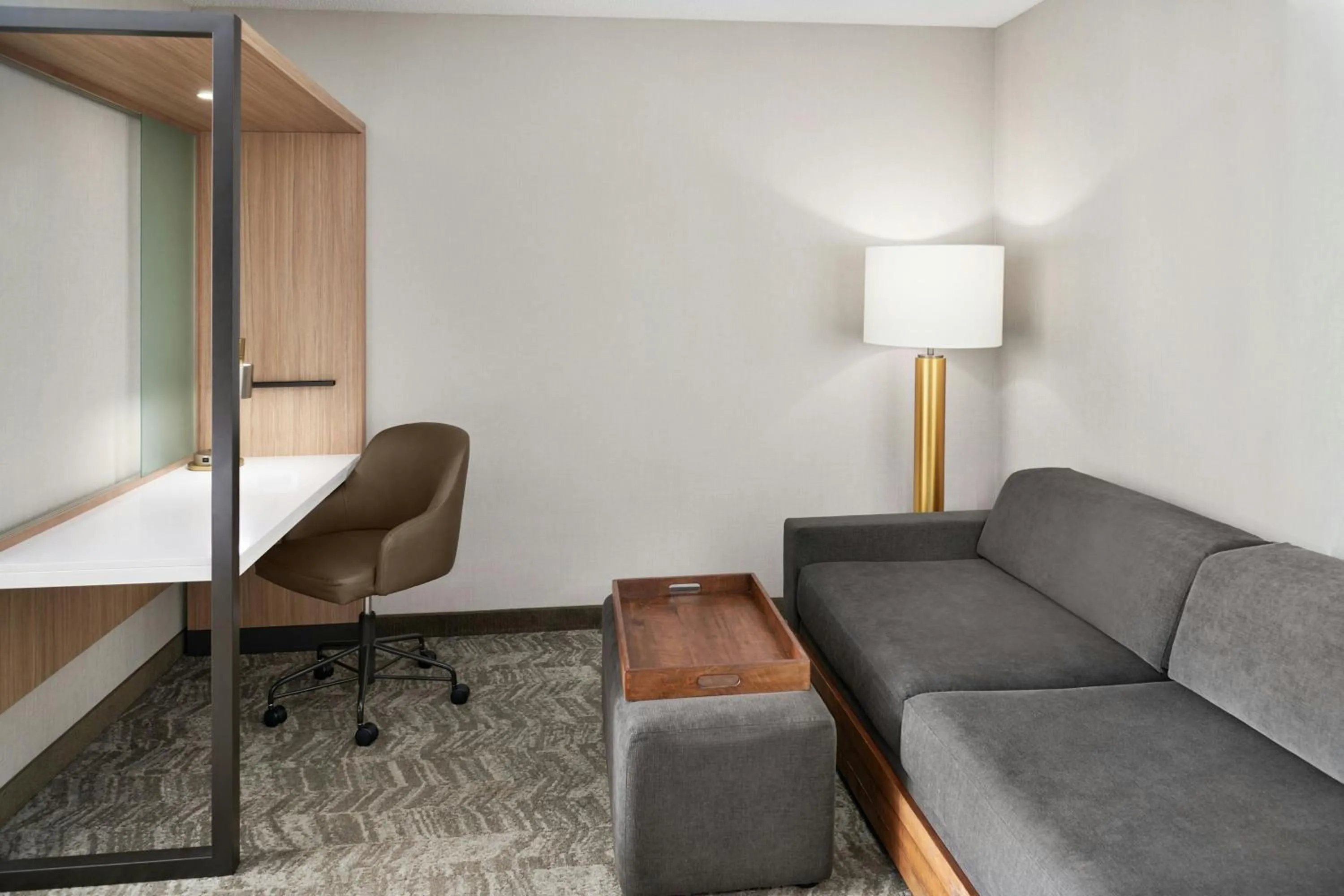 Photo of the whole room in SpringHill Suites by Marriott Lansing