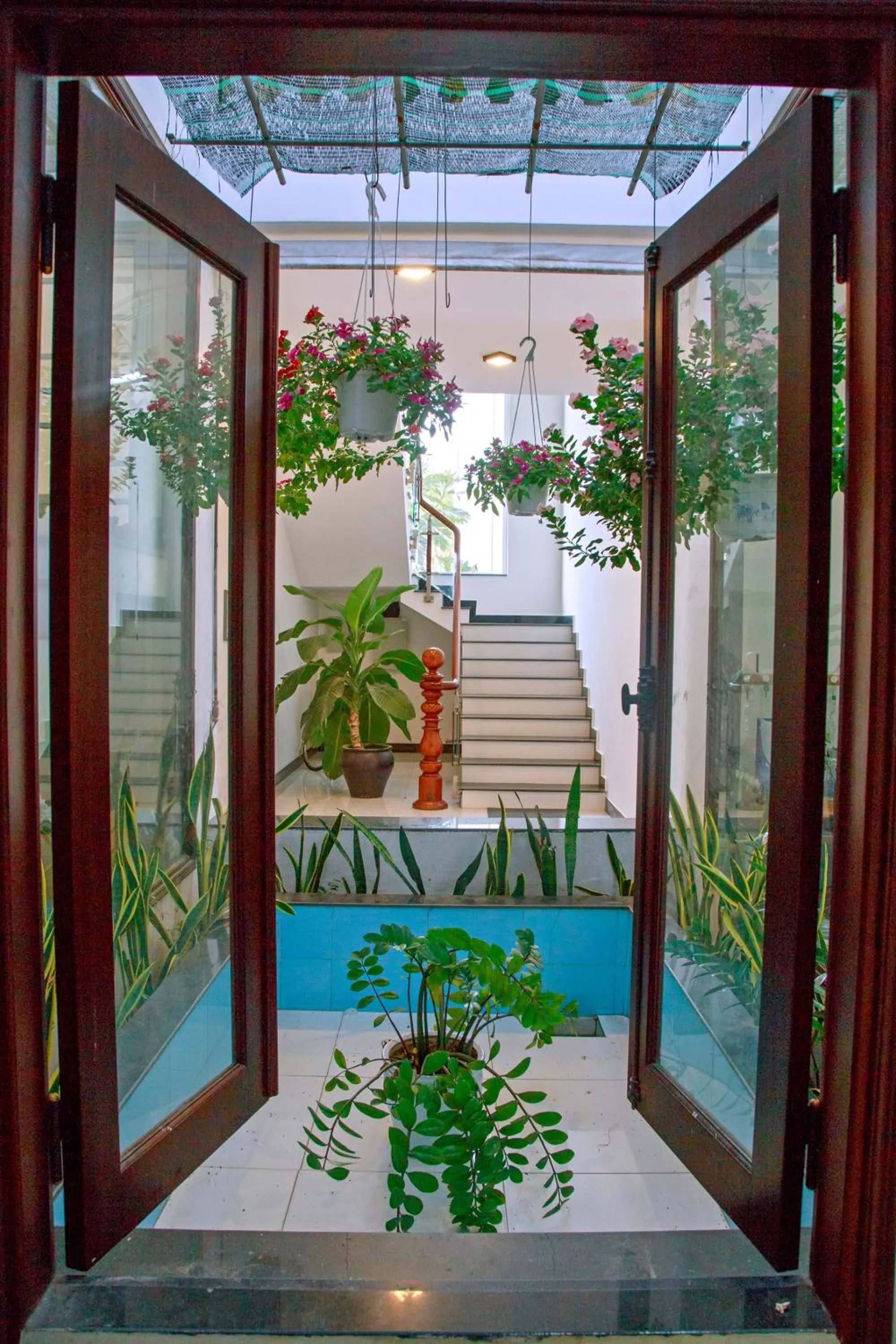 Garden in Basil Homestay