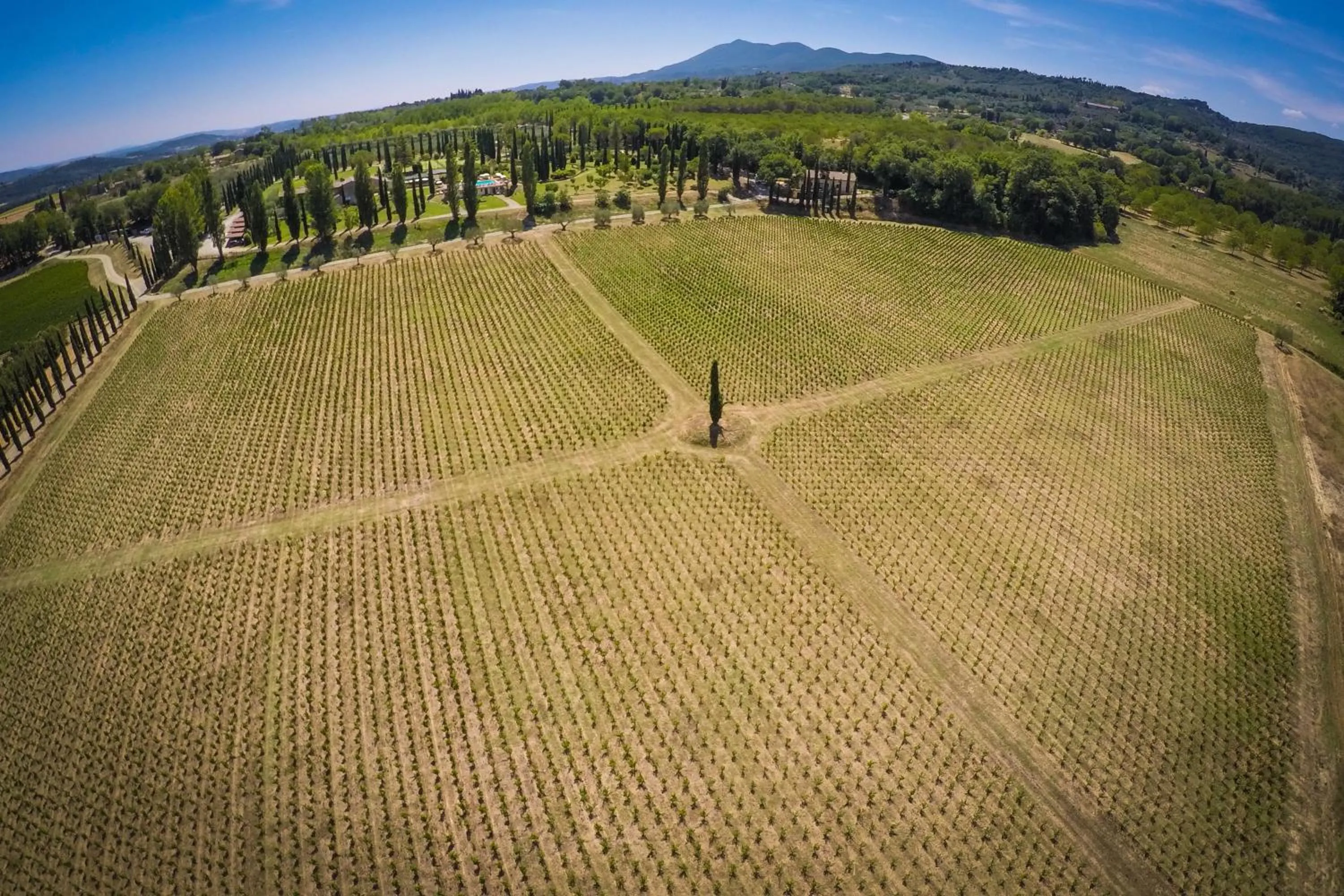 Natural landscape in Agriturismo La Sovana