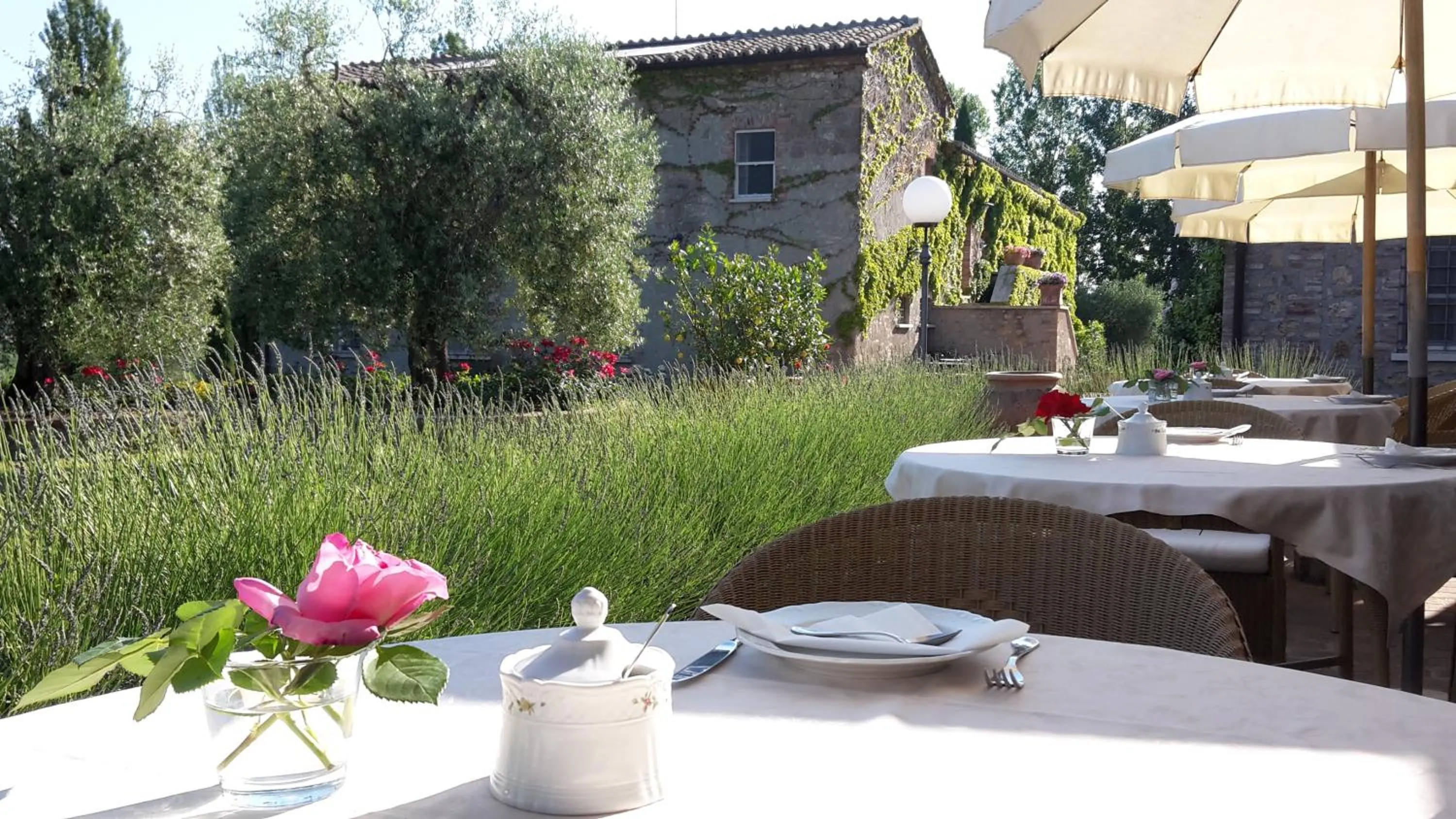 Balcony/Terrace in Agriturismo La Sovana