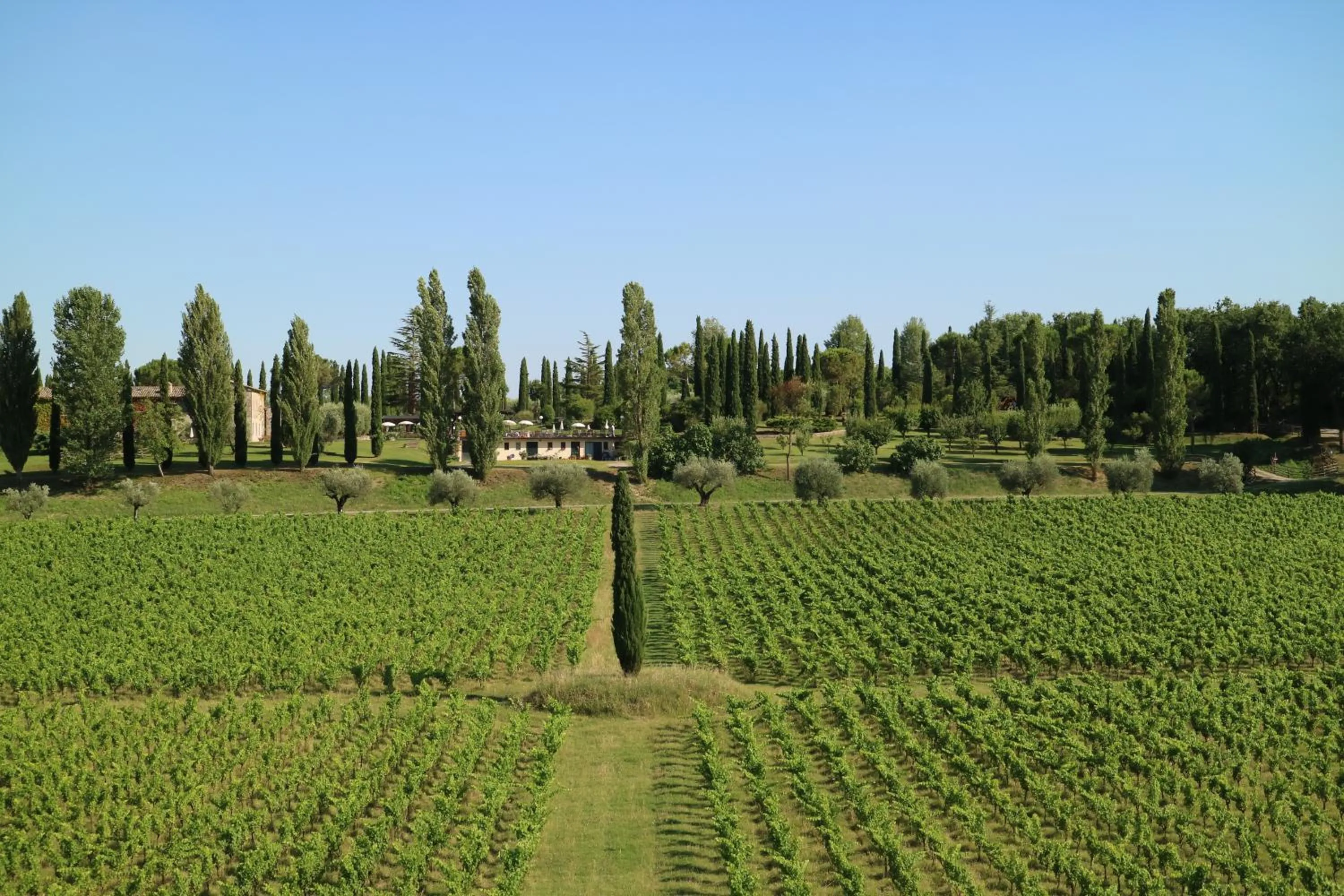 View (from property/room) in Agriturismo La Sovana