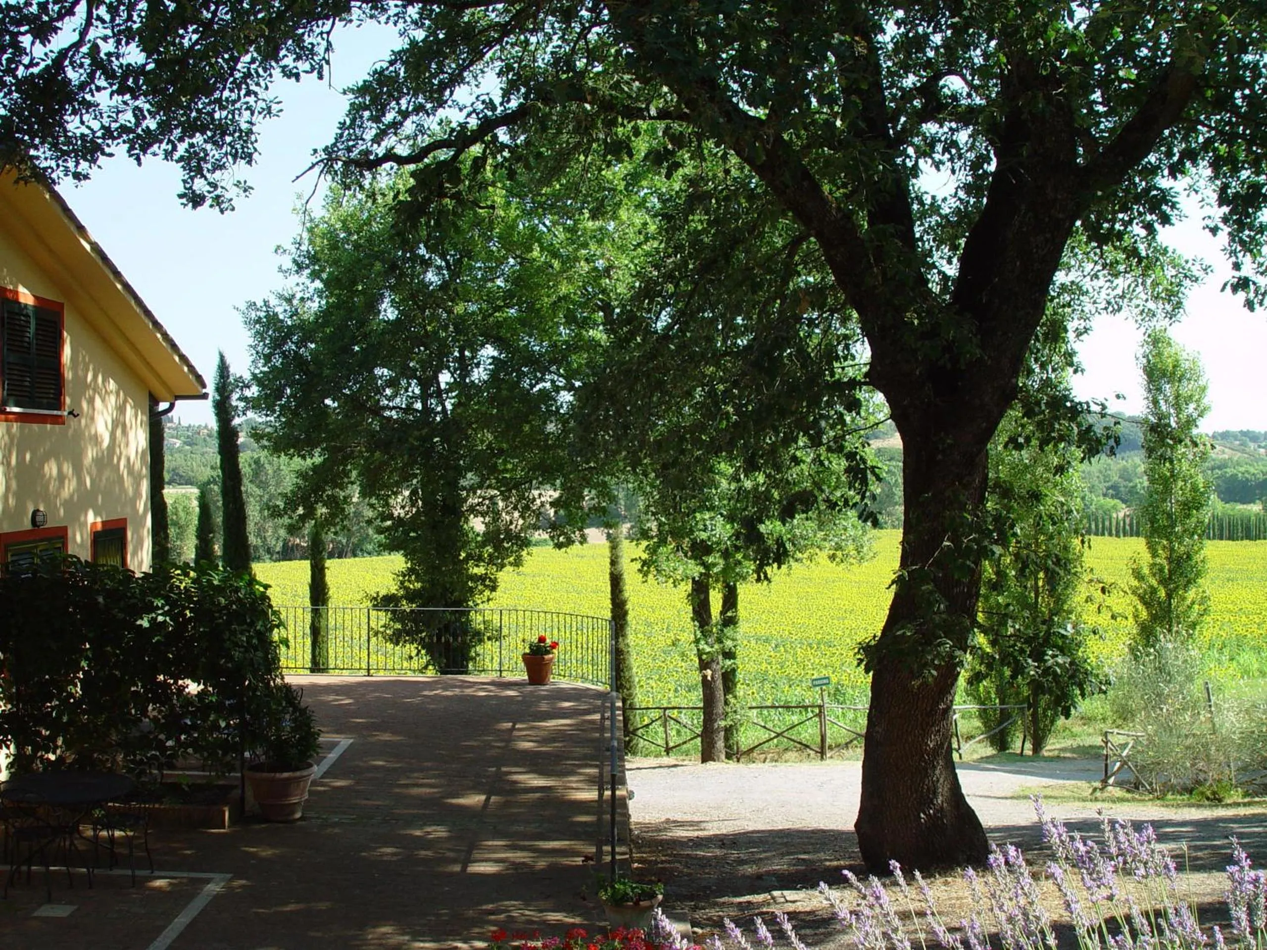 Day in Agriturismo La Sovana