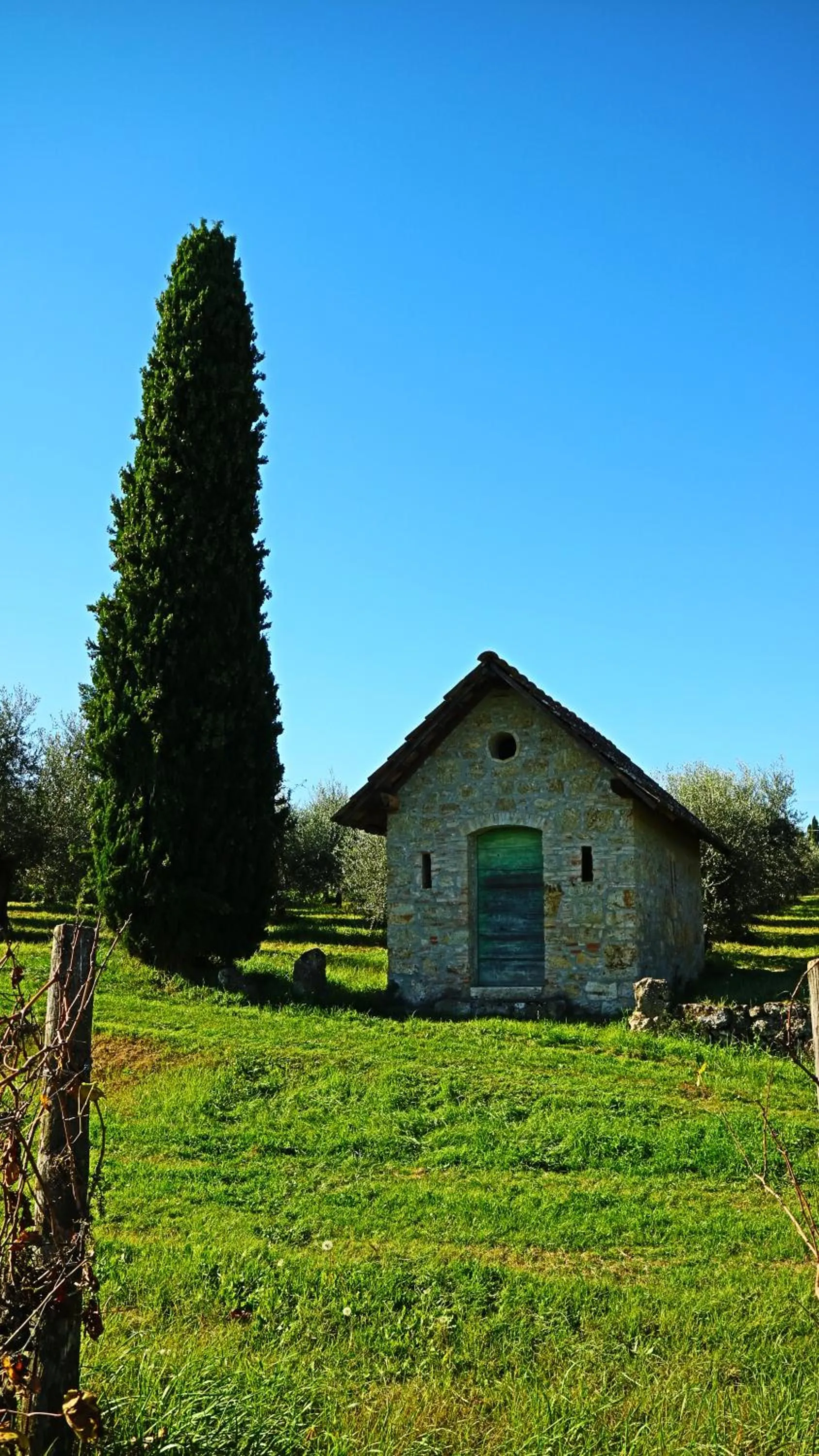 Natural landscape in Agriturismo La Sovana