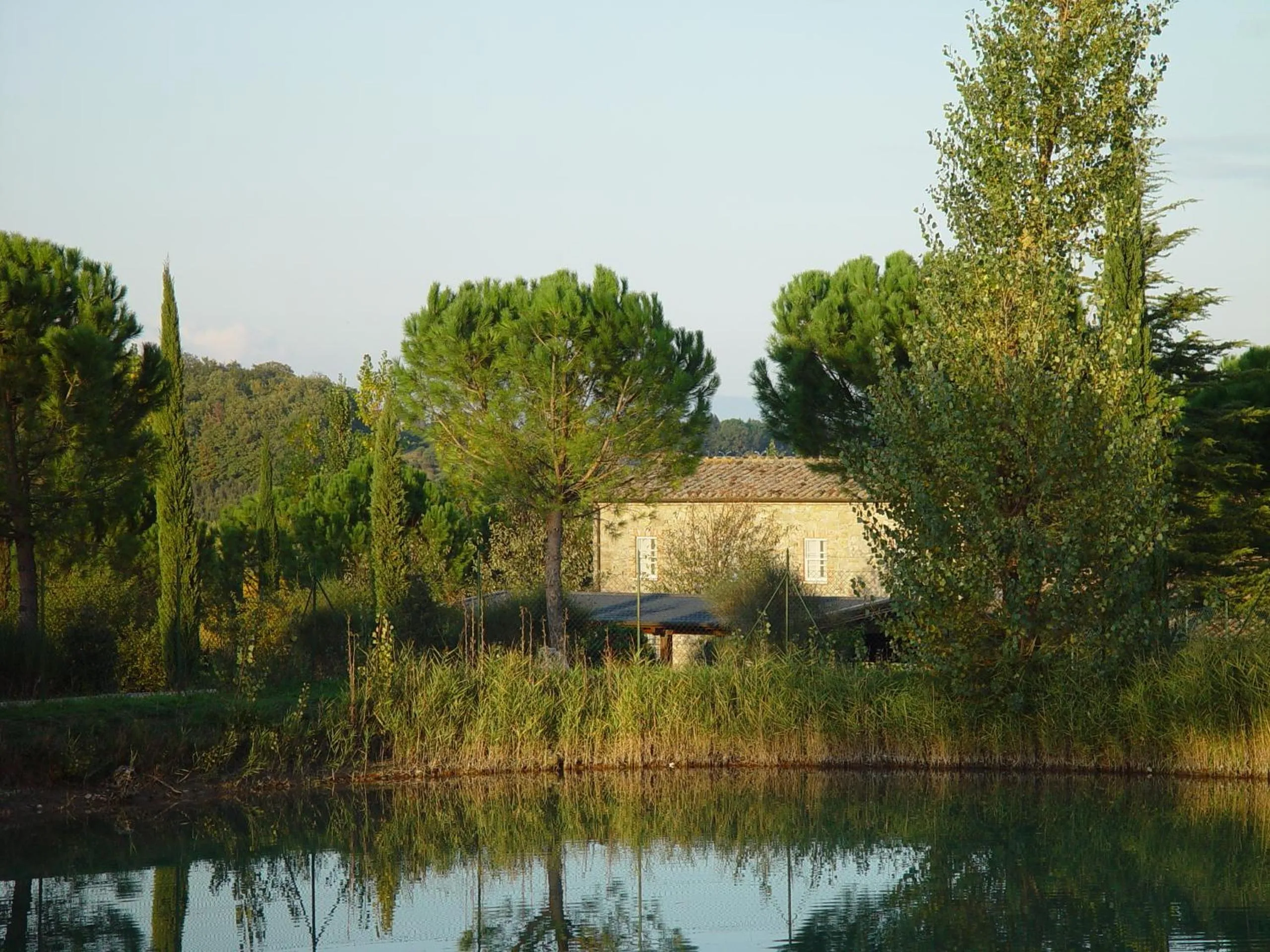 Other in Agriturismo La Sovana