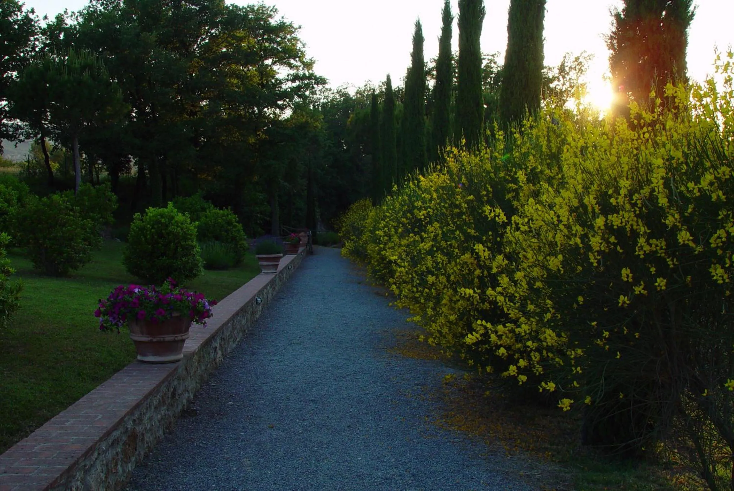 Garden in Agriturismo La Sovana
