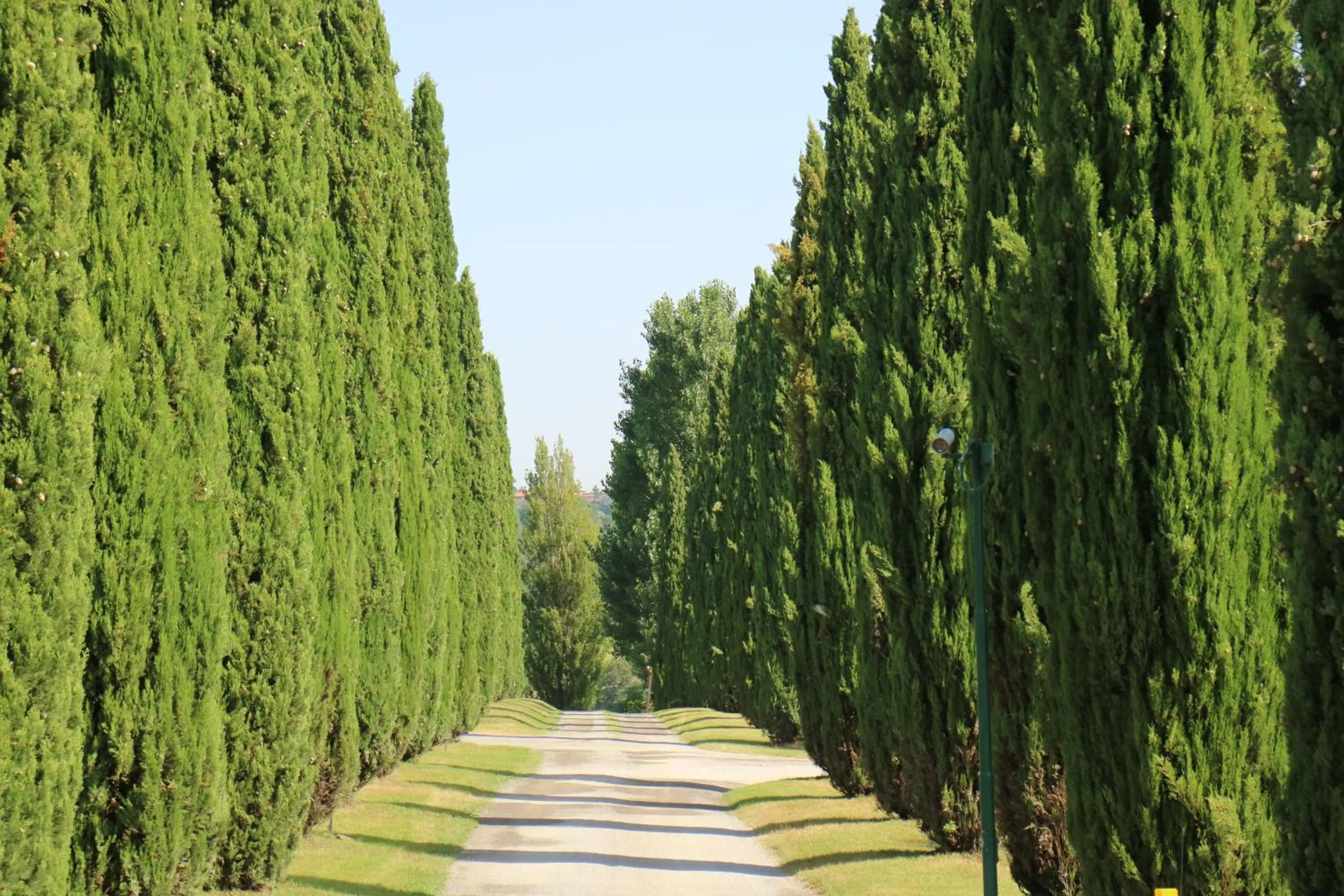 Facade/entrance in Agriturismo La Sovana