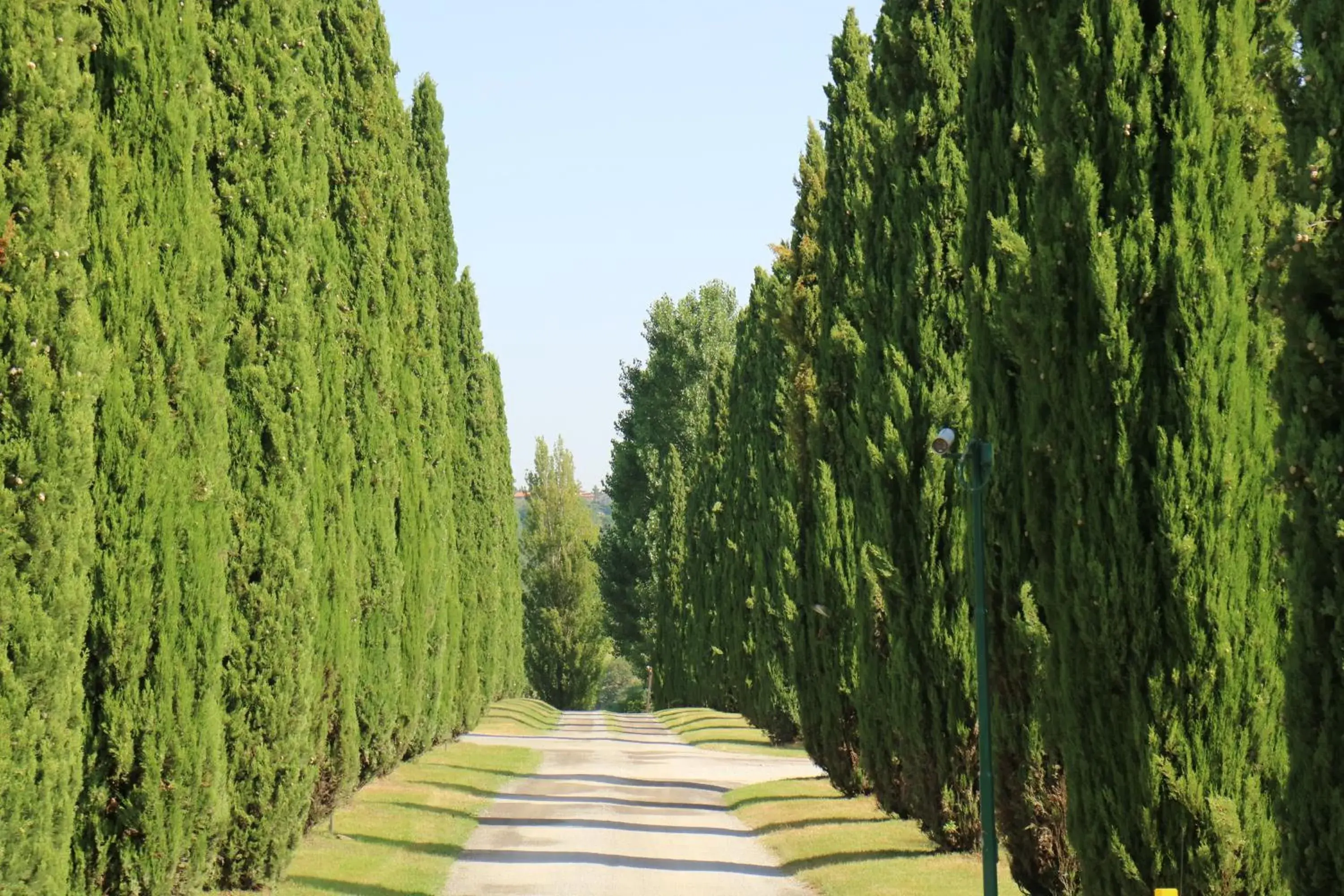 Facade/entrance in Agriturismo La Sovana Facade/entrance in Agriturismo La Sovana