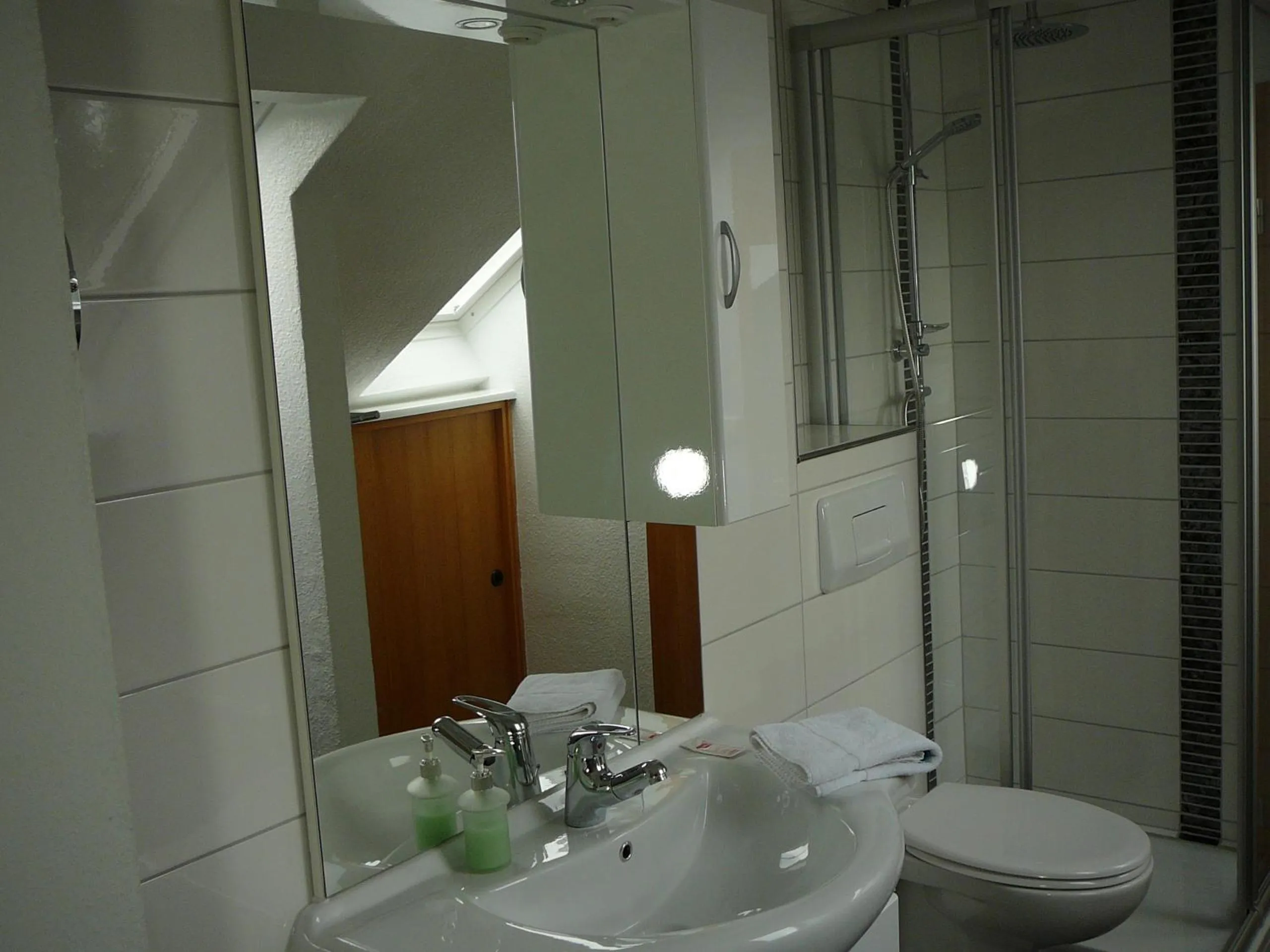 Shower in Haus Drei Tannen