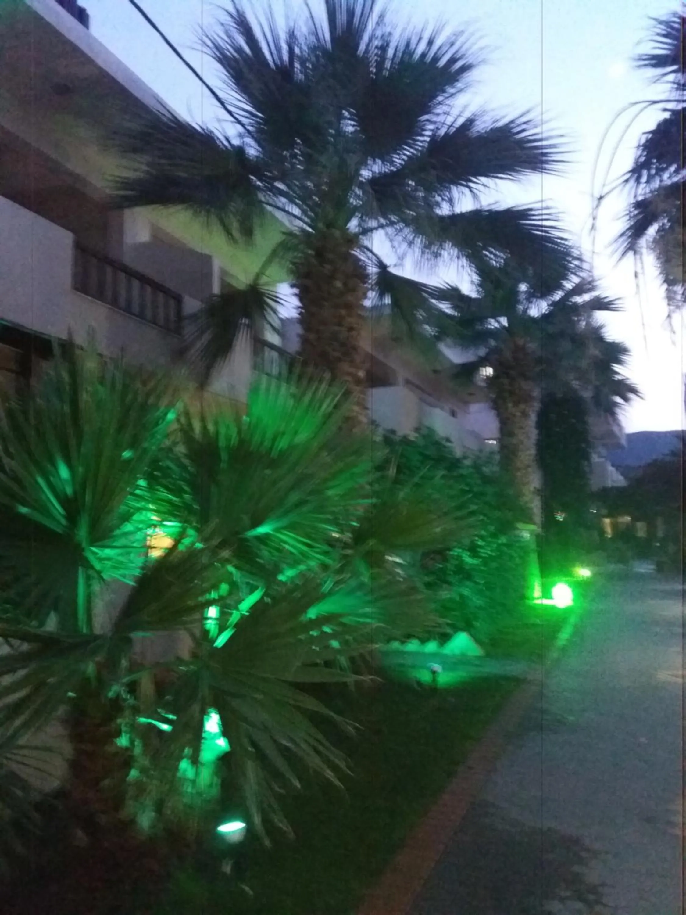 Lia Sofia Apartments