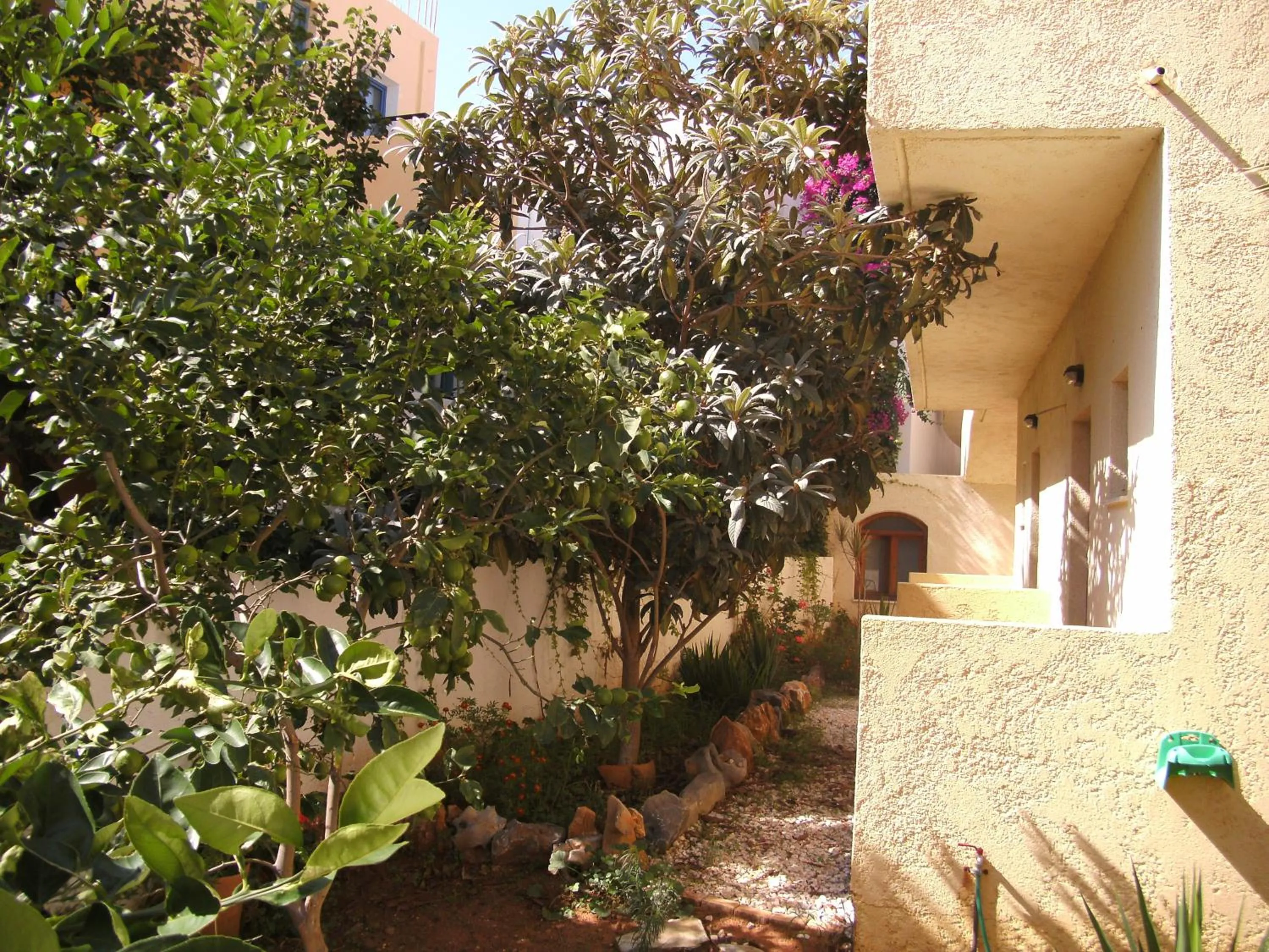 Property building in Lia Sofia Apartments