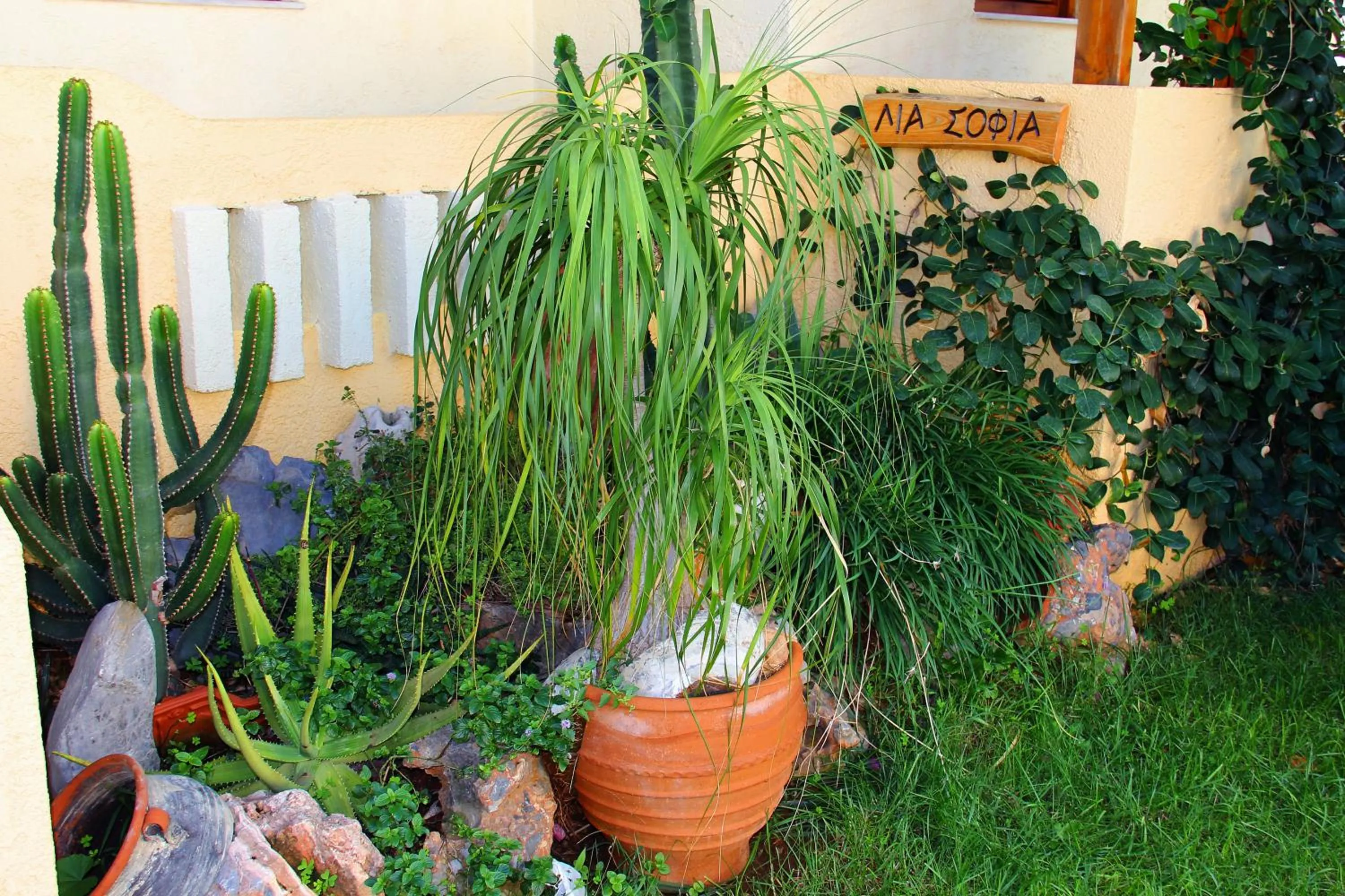 Garden in Lia Sofia Apartments