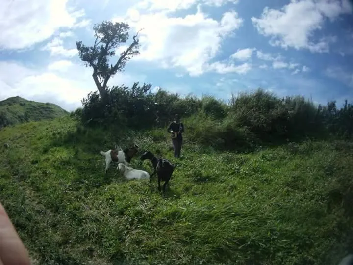 Anilao Scuba Dive Center (ASDC)