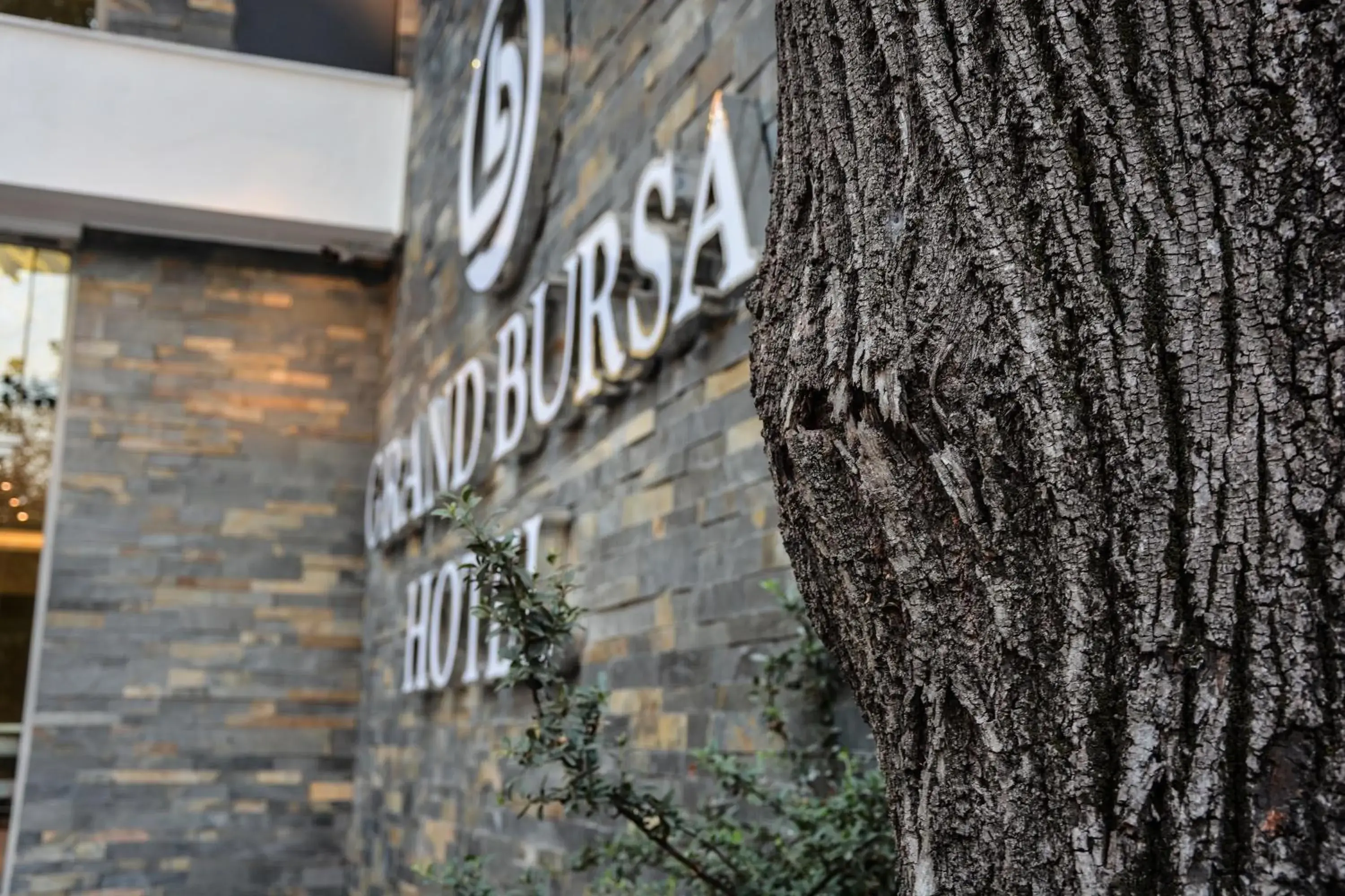 Grand Bursa Hotel Grand Bursa Hotel