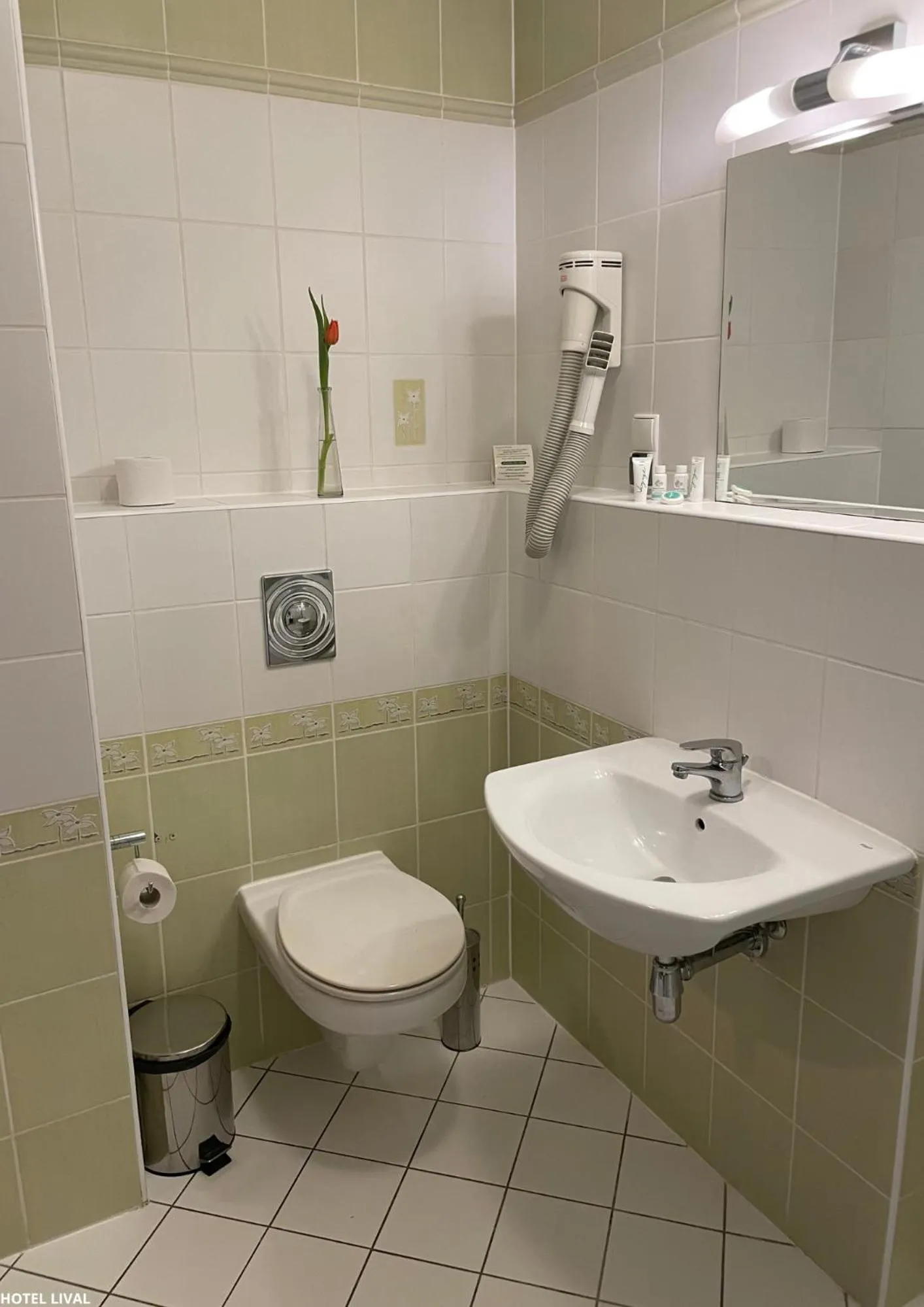 Toilet in Hotel Lival