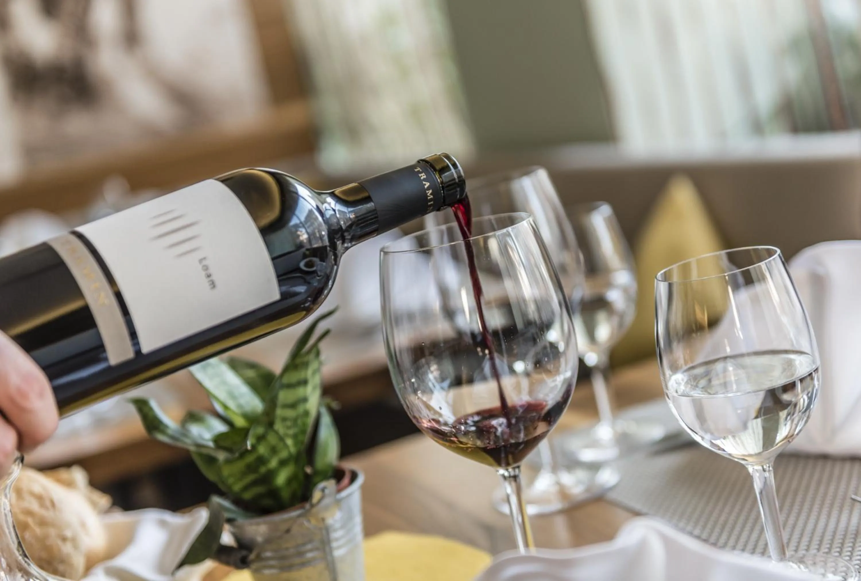 Restaurant/places to eat in Hotel Elefant