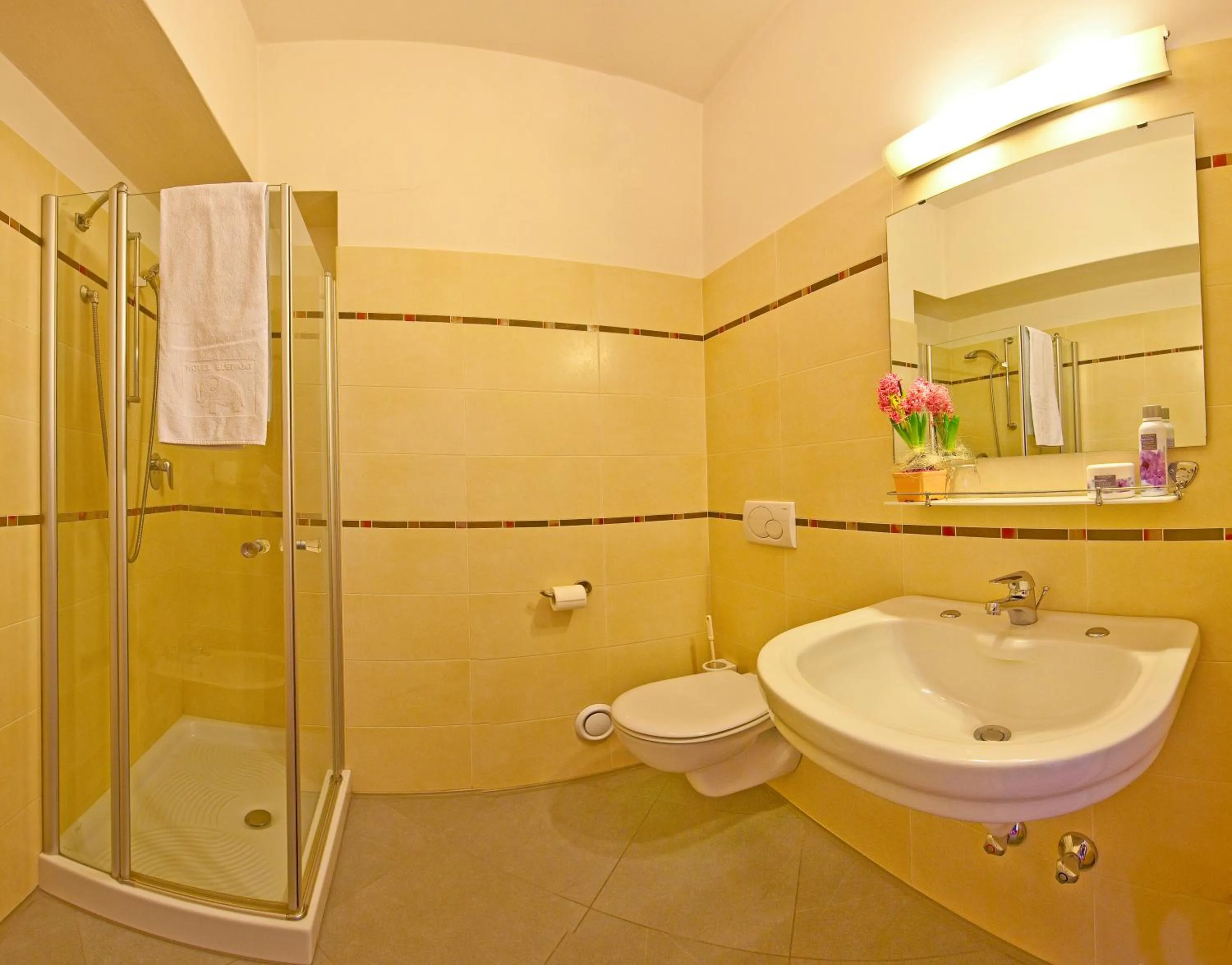 Bathroom in Hotel Elefant