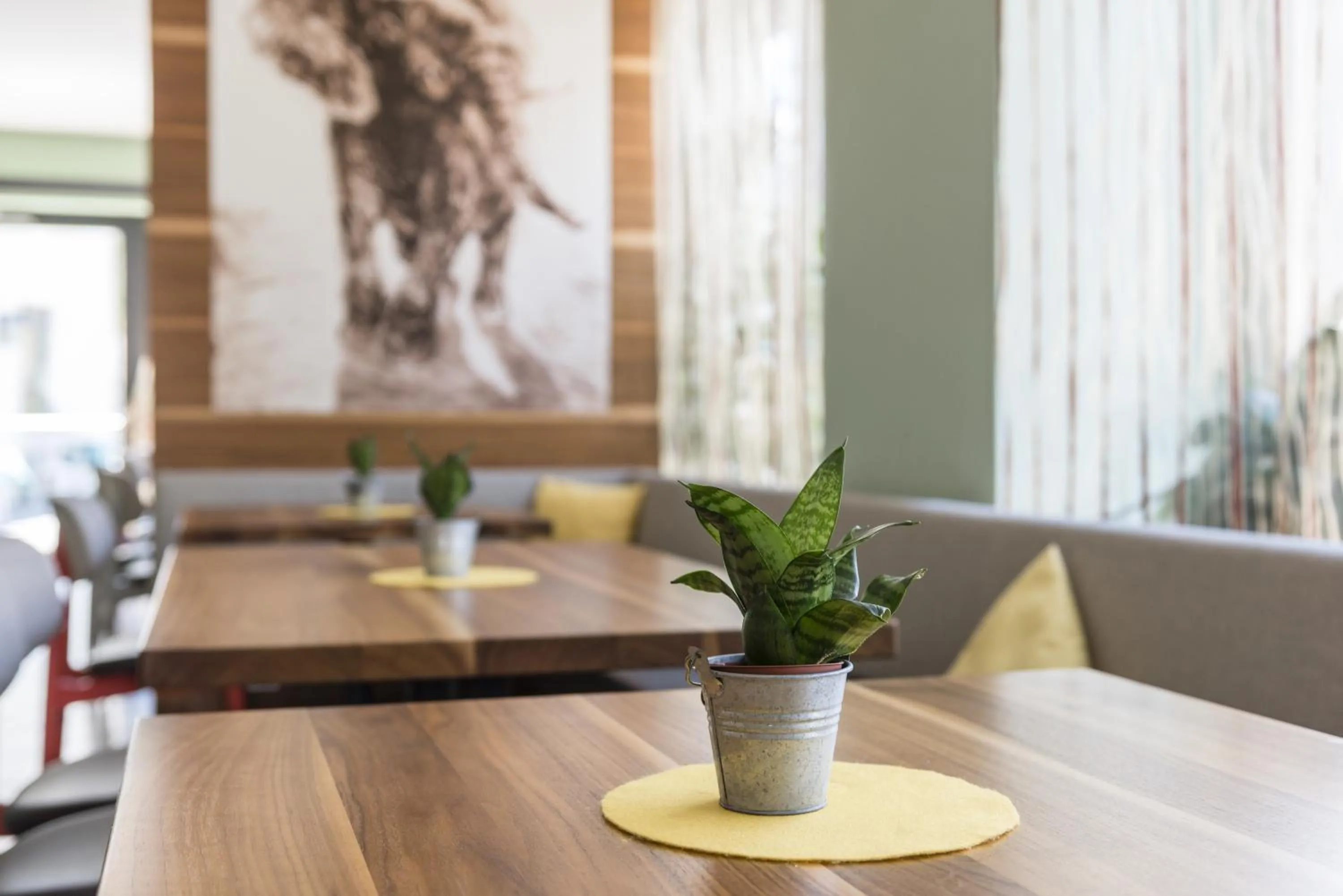 Restaurant/places to eat in Hotel Elefant