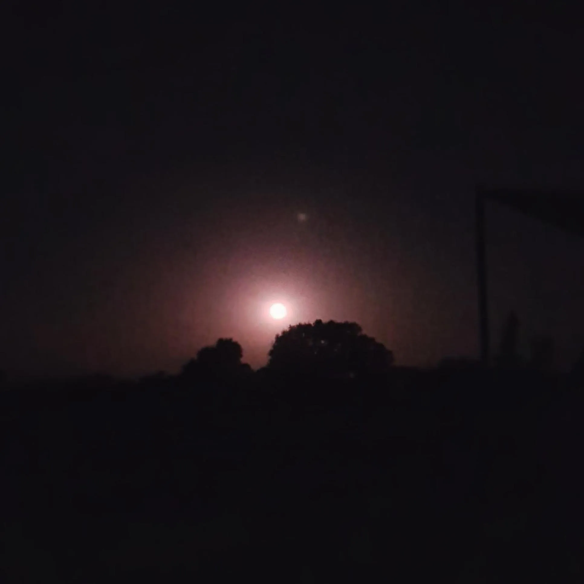 Natural landscape in Villa Brigida