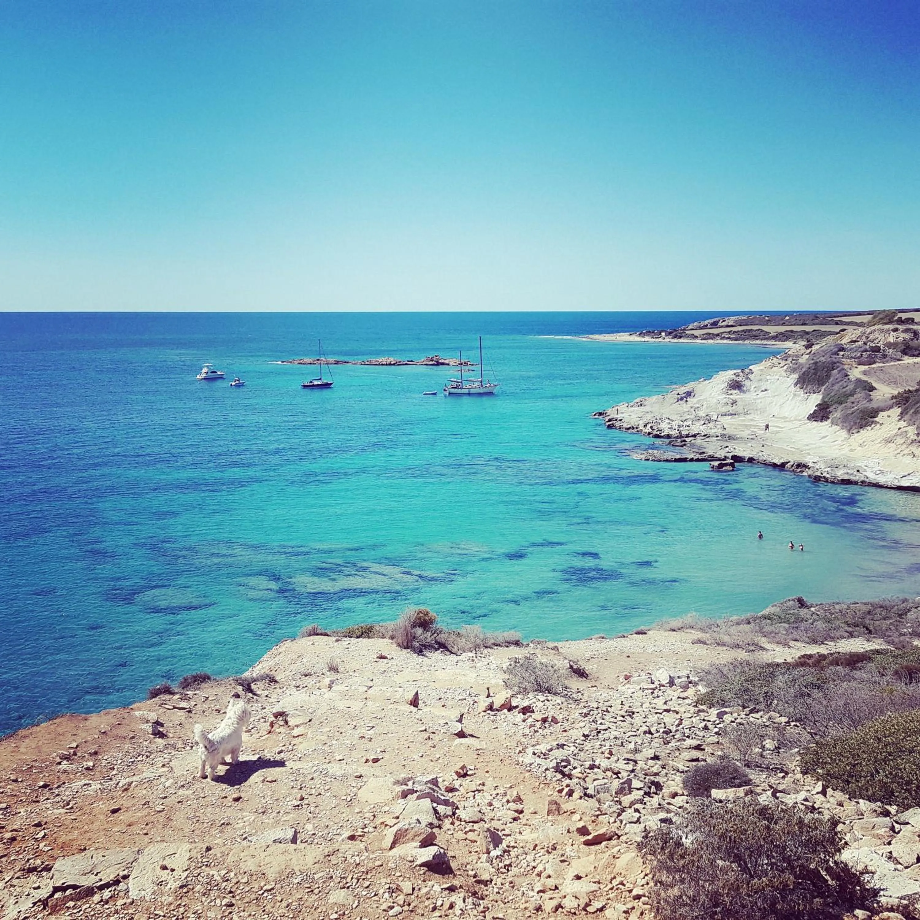 Natural landscape in Villa Brigida