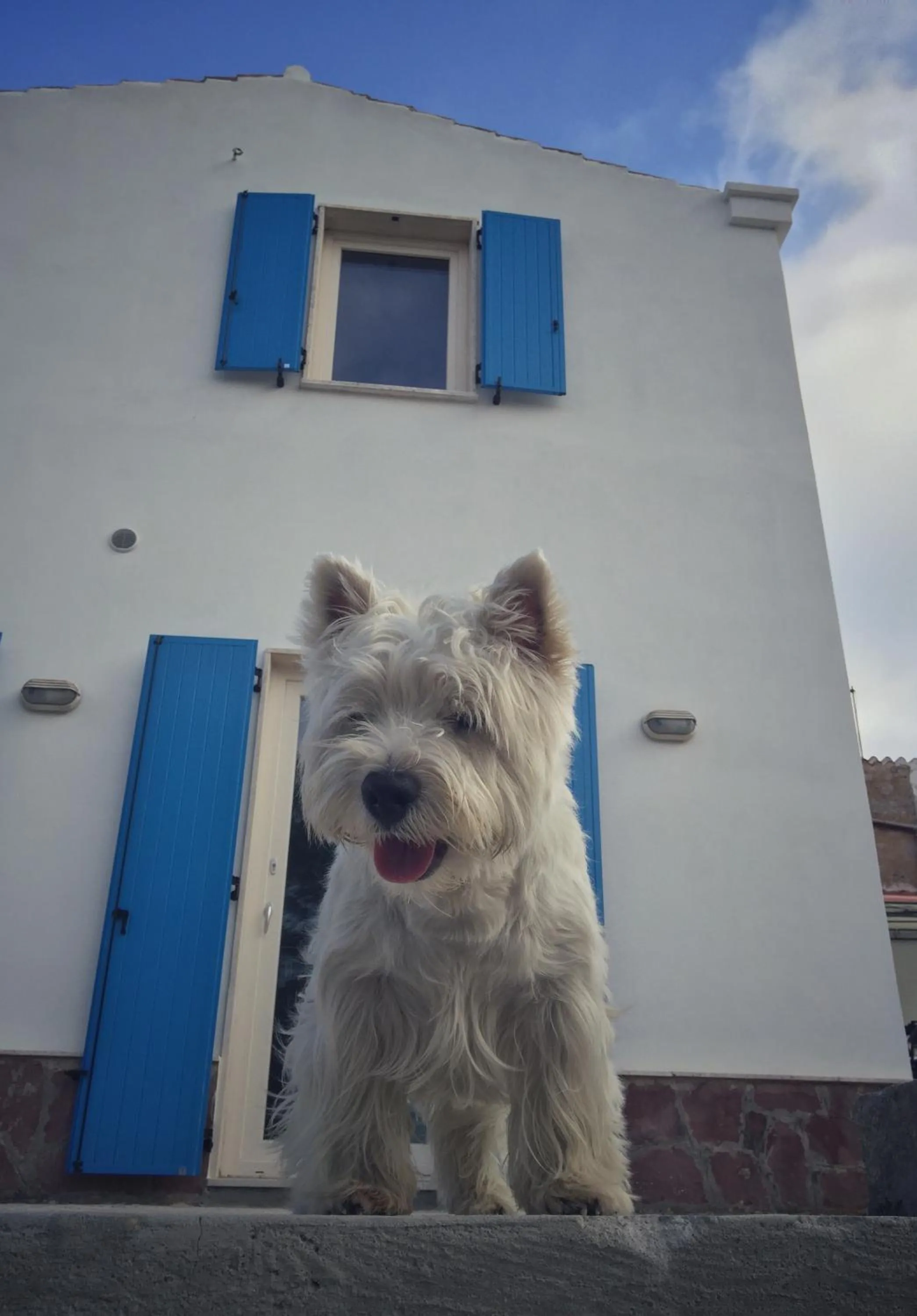 Animals in Villa Brigida