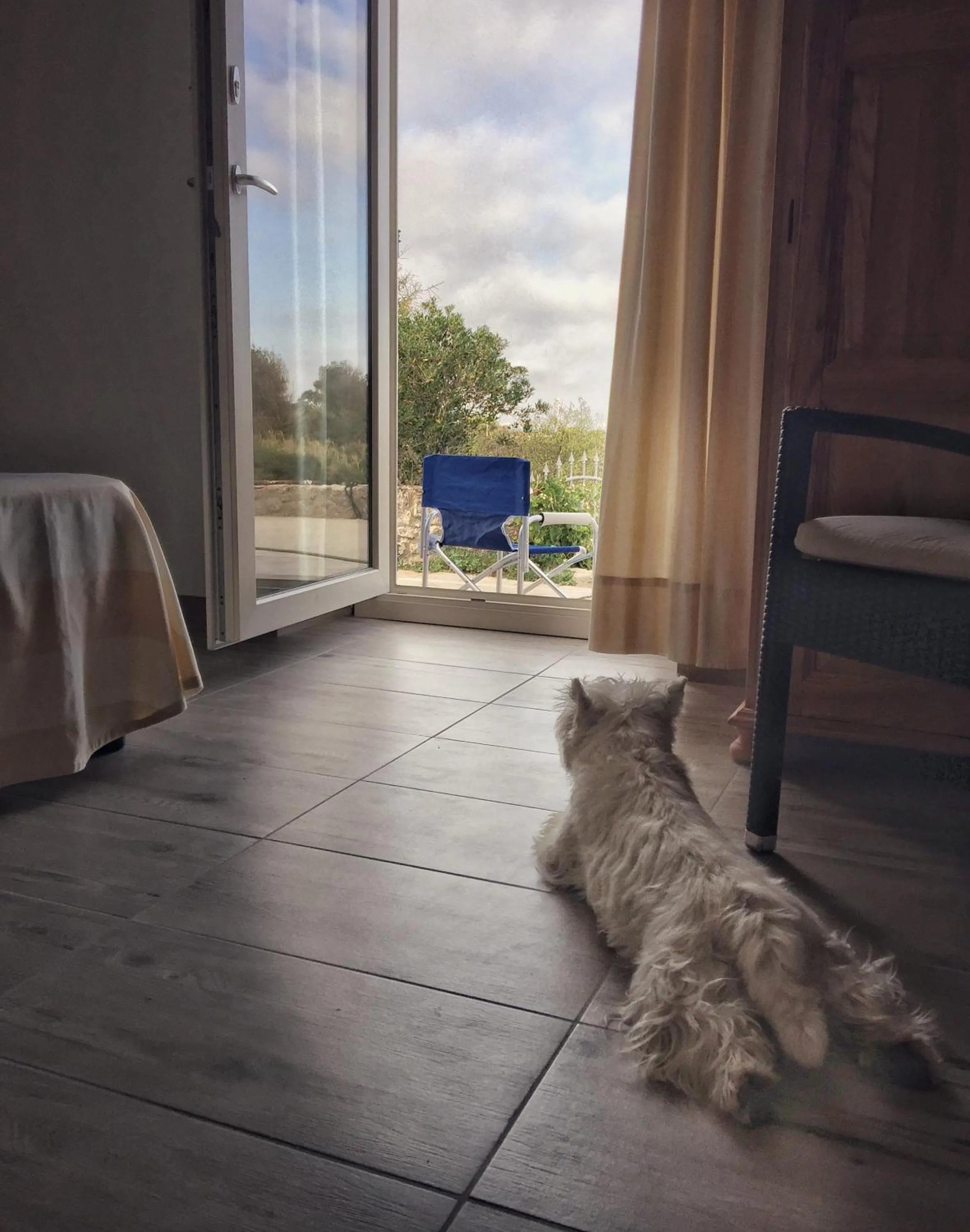 Balcony/Terrace in Villa Brigida