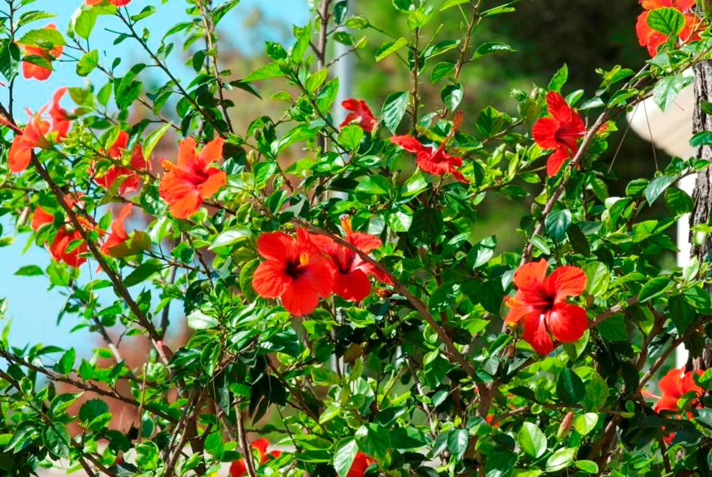 Other in Resort Villa Hermosa