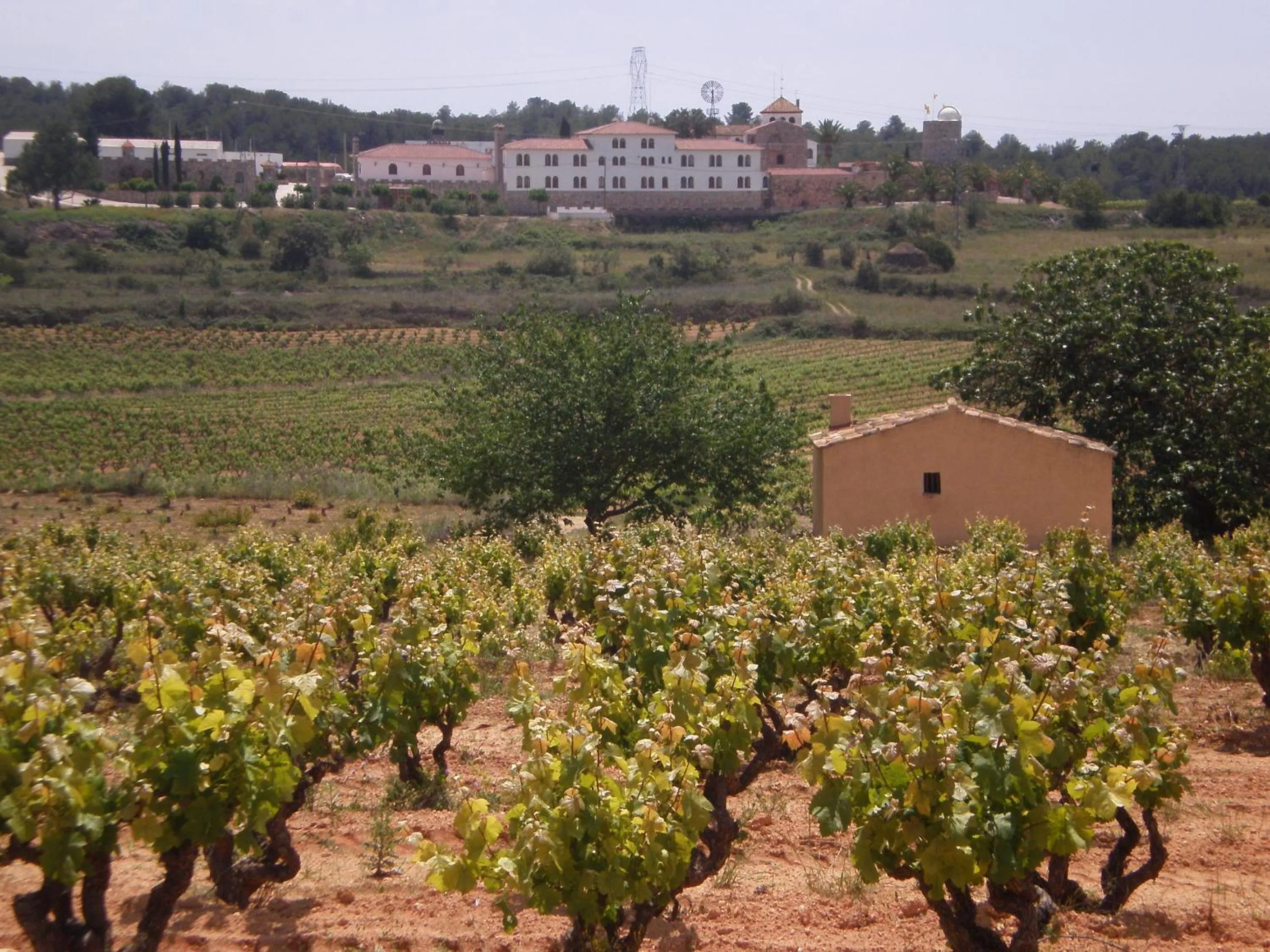 Facade/entrance in Mas Boronat Resort