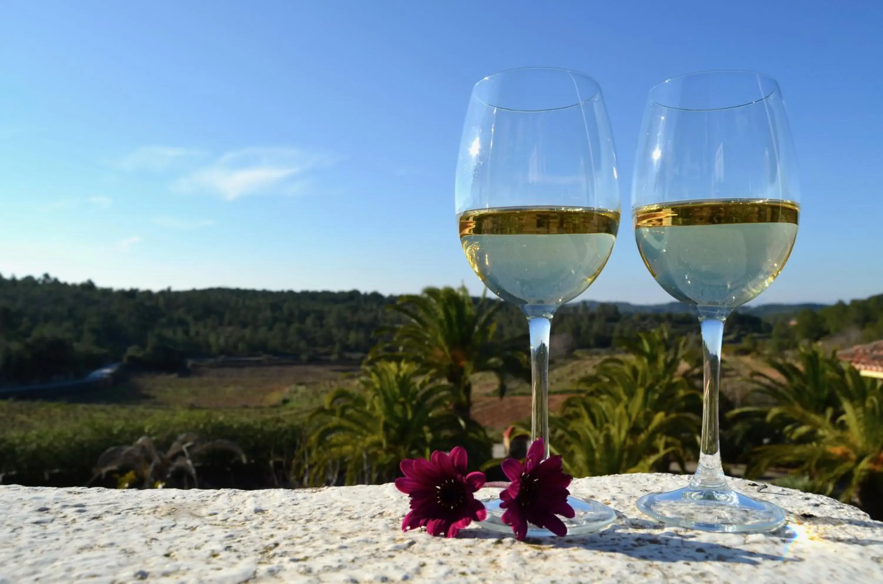 Suite in Mas Boronat Resort Suite in Mas Boronat Resort