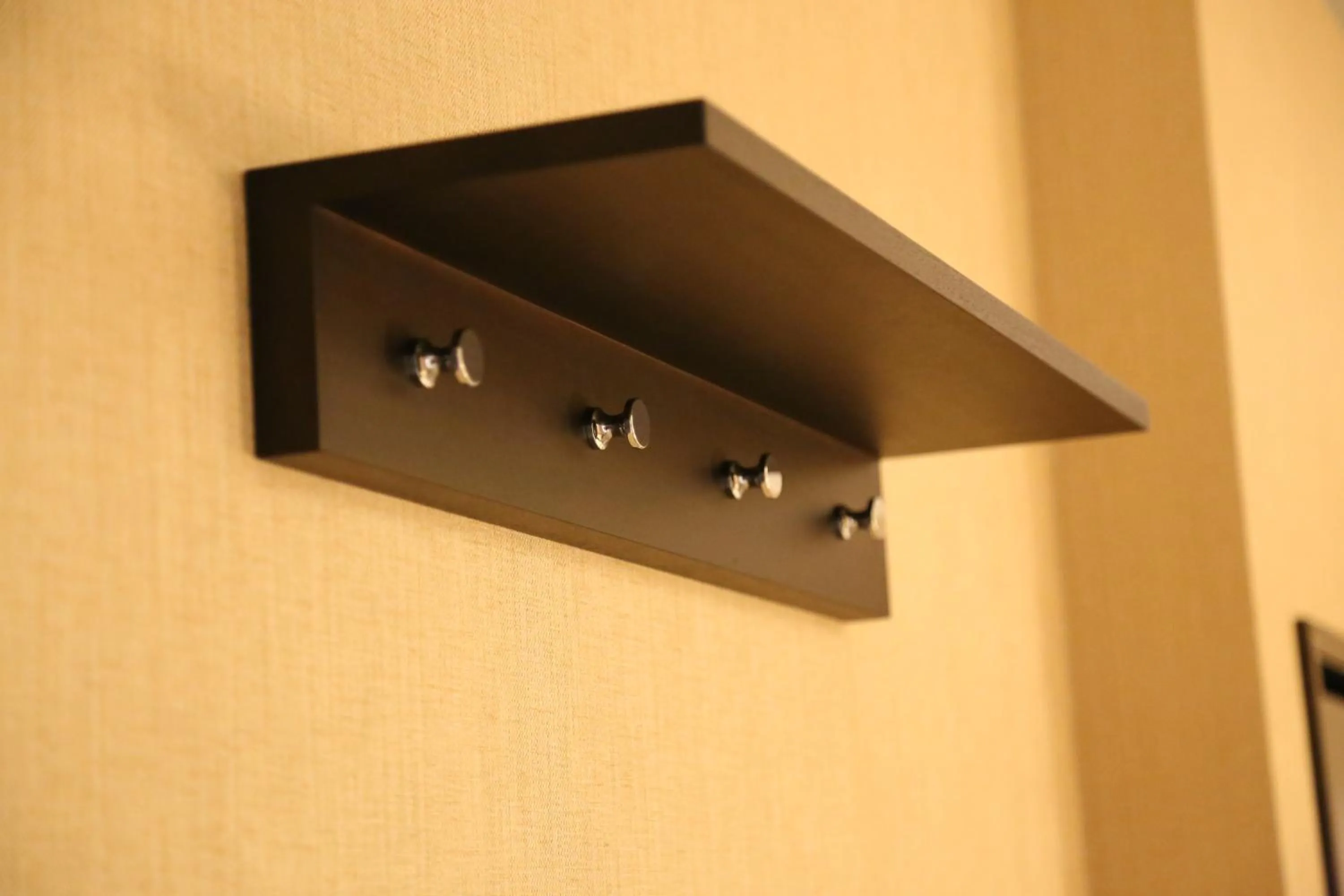 Area and facilities in Ambassador Transit Hotel - Terminal 2