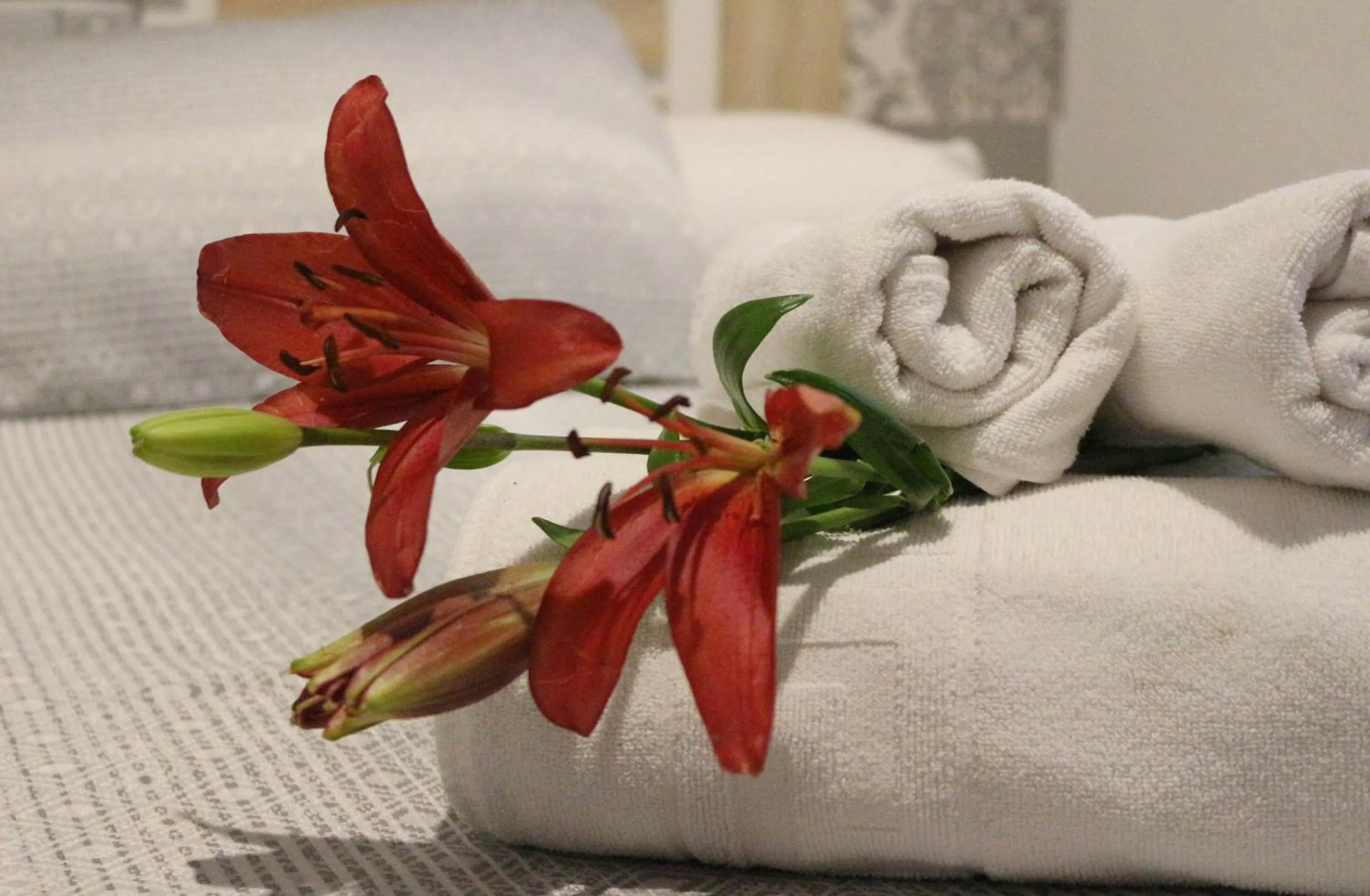 Other, Bed in Pensión San Isidro