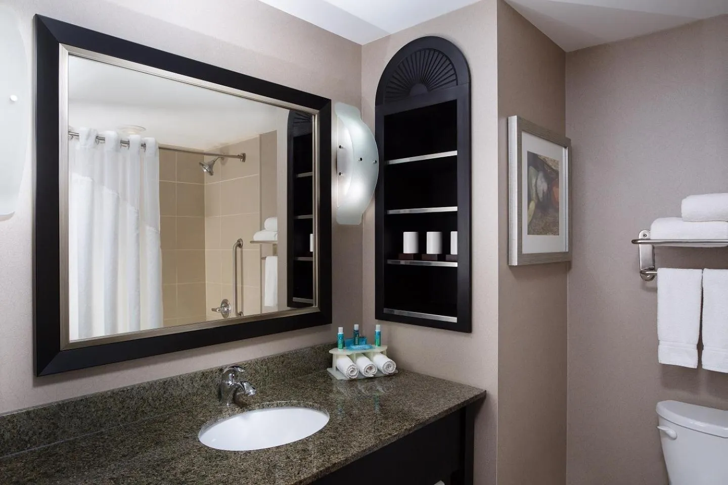 Bathroom in Holiday Inn Express & Suites Ottawa West - Nepean by IHG