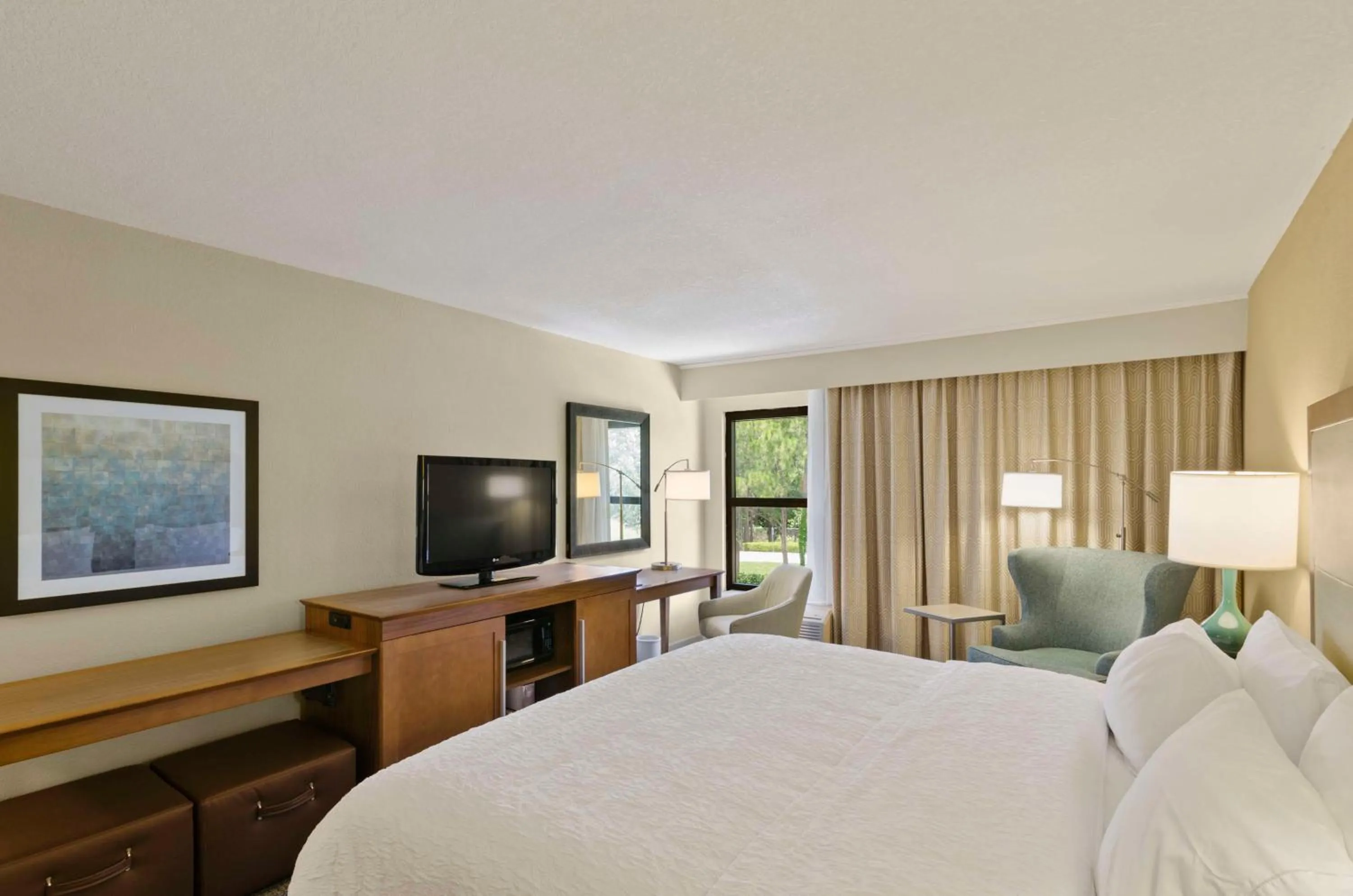 King Room with Accessible Tub - Mobility and Hearing Access/Non-Smoking in Hampton Inn Mount Dora
