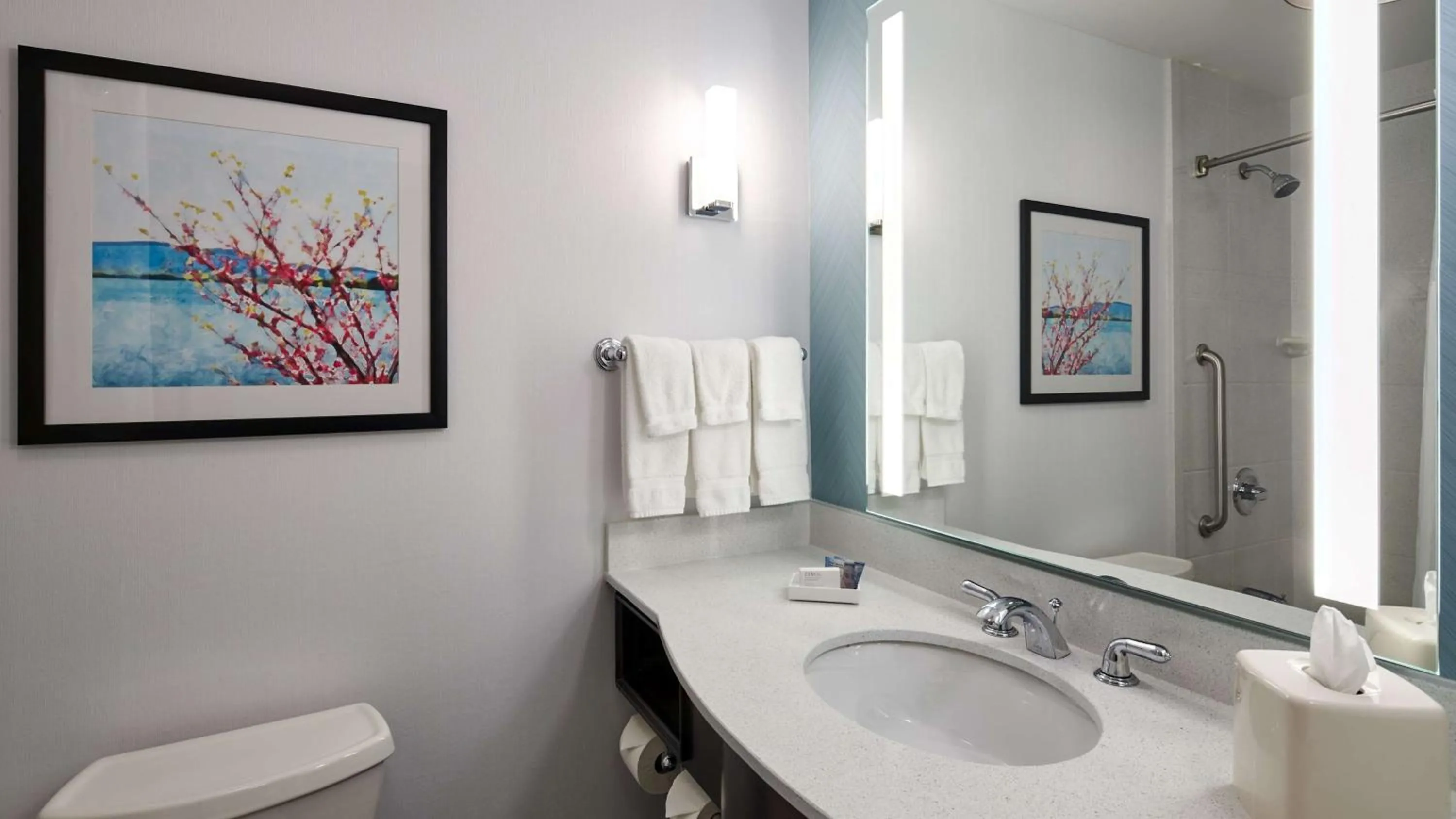 Bathroom in Hilton Garden Inn Merrillville