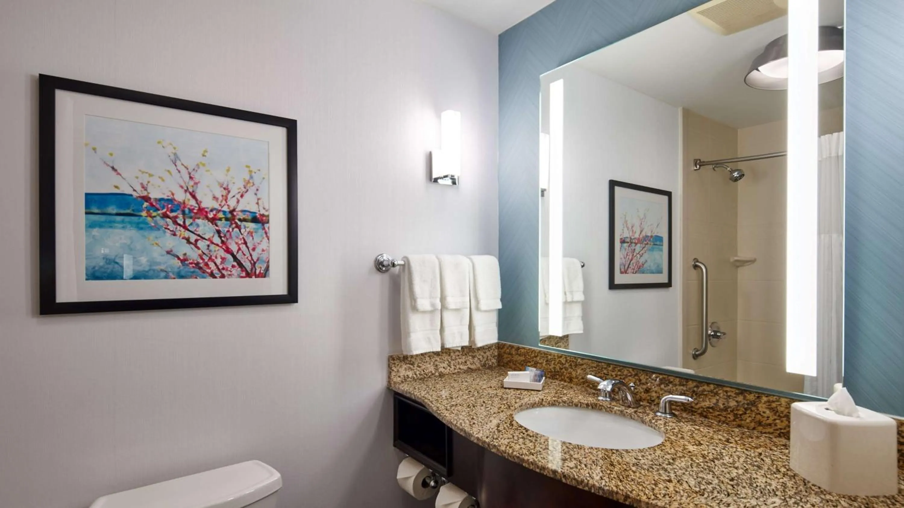 Bathroom in Hilton Garden Inn Merrillville