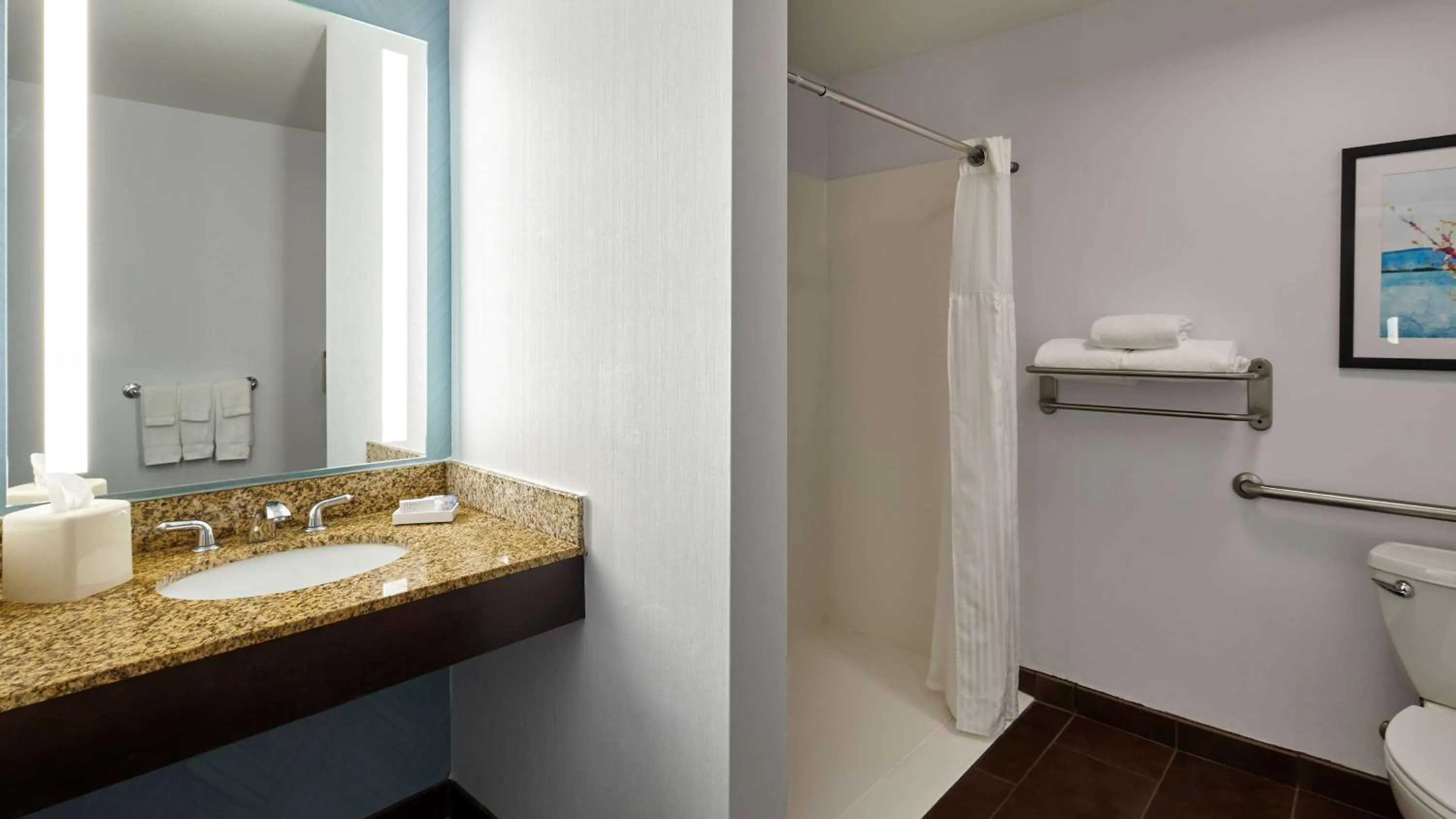 Bathroom in Hilton Garden Inn Merrillville