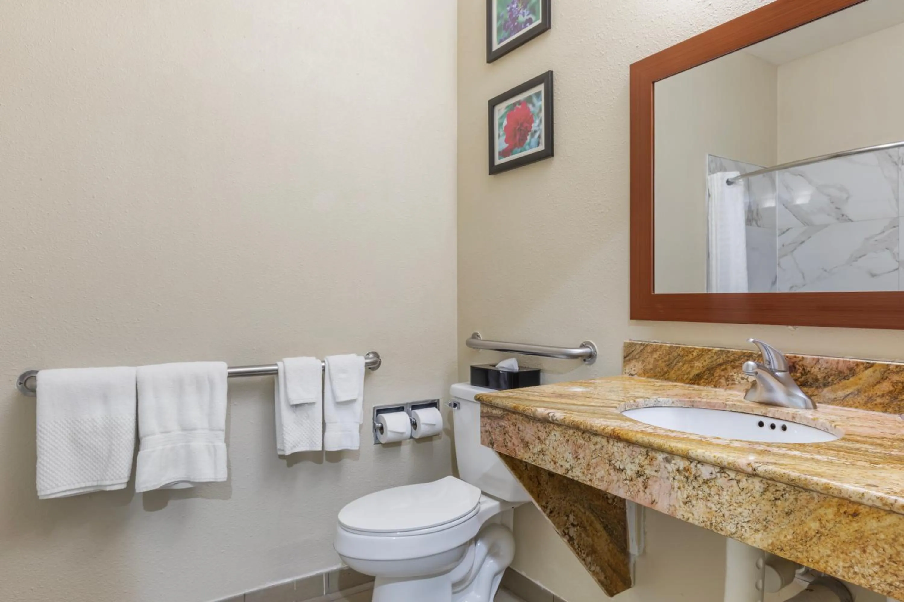 Toilet in Comfort Inn & Suites Temple - Medical Center